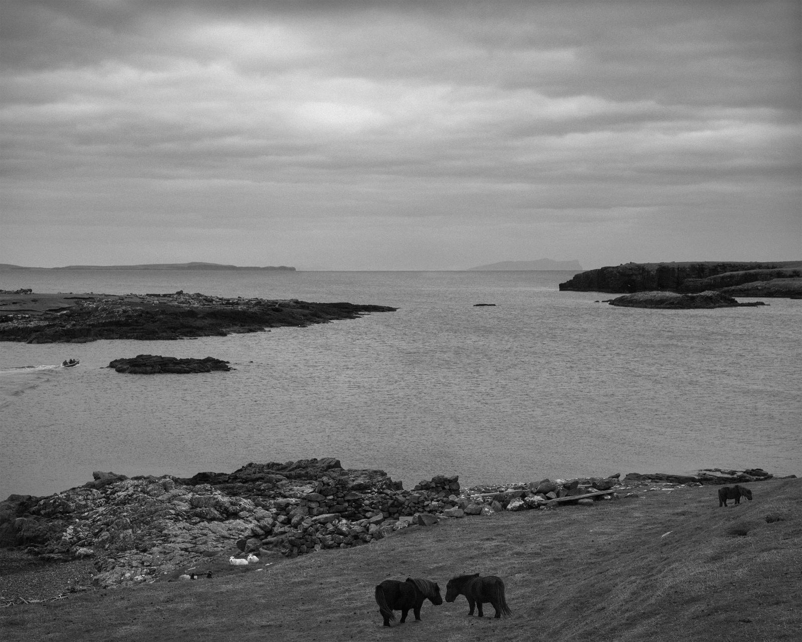 Pentti Sammallahti, Stenness, Mainland, Shetland, 2016