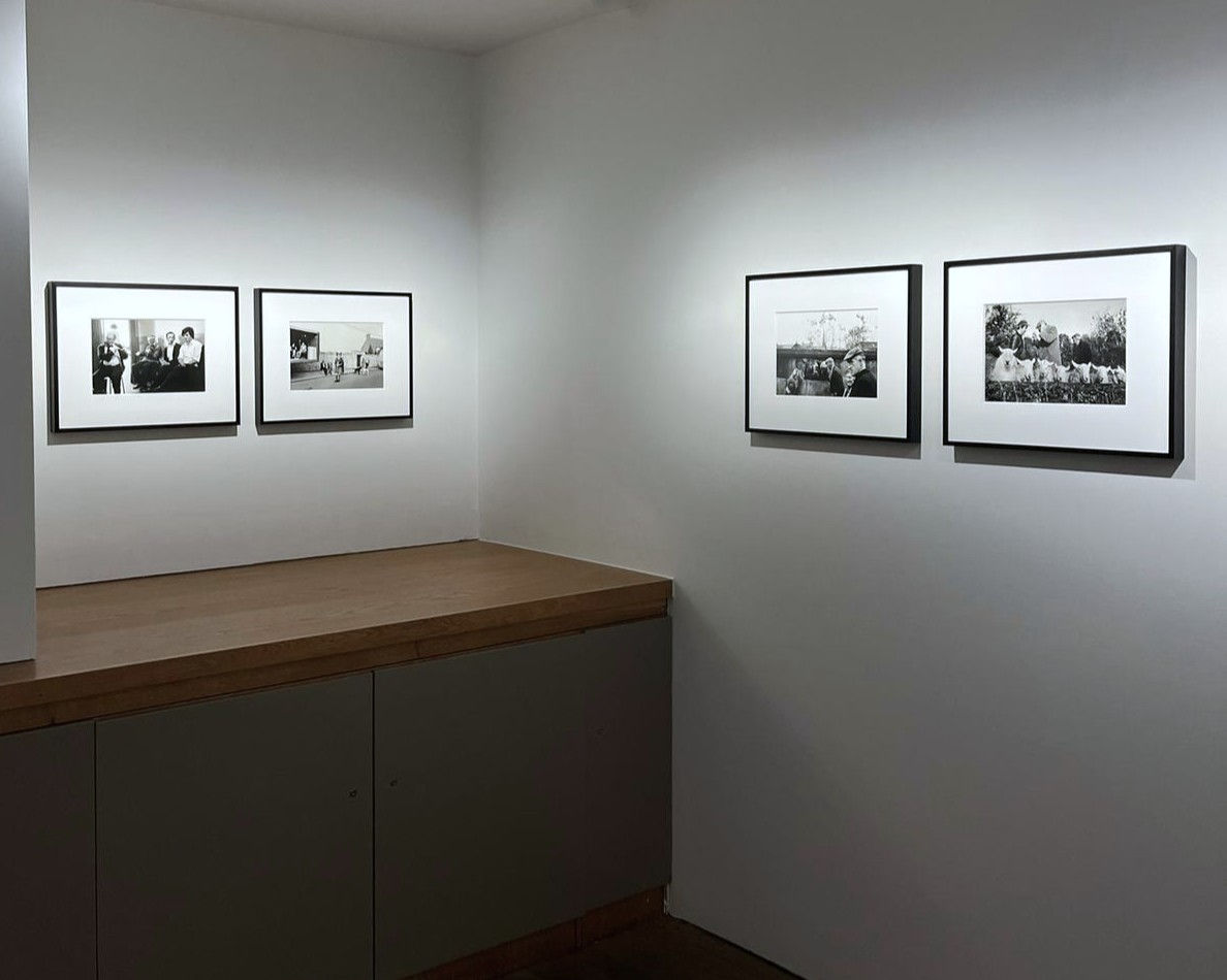 Martin Parr, County Roscommon, Ballaghaderreen Fair, 1983