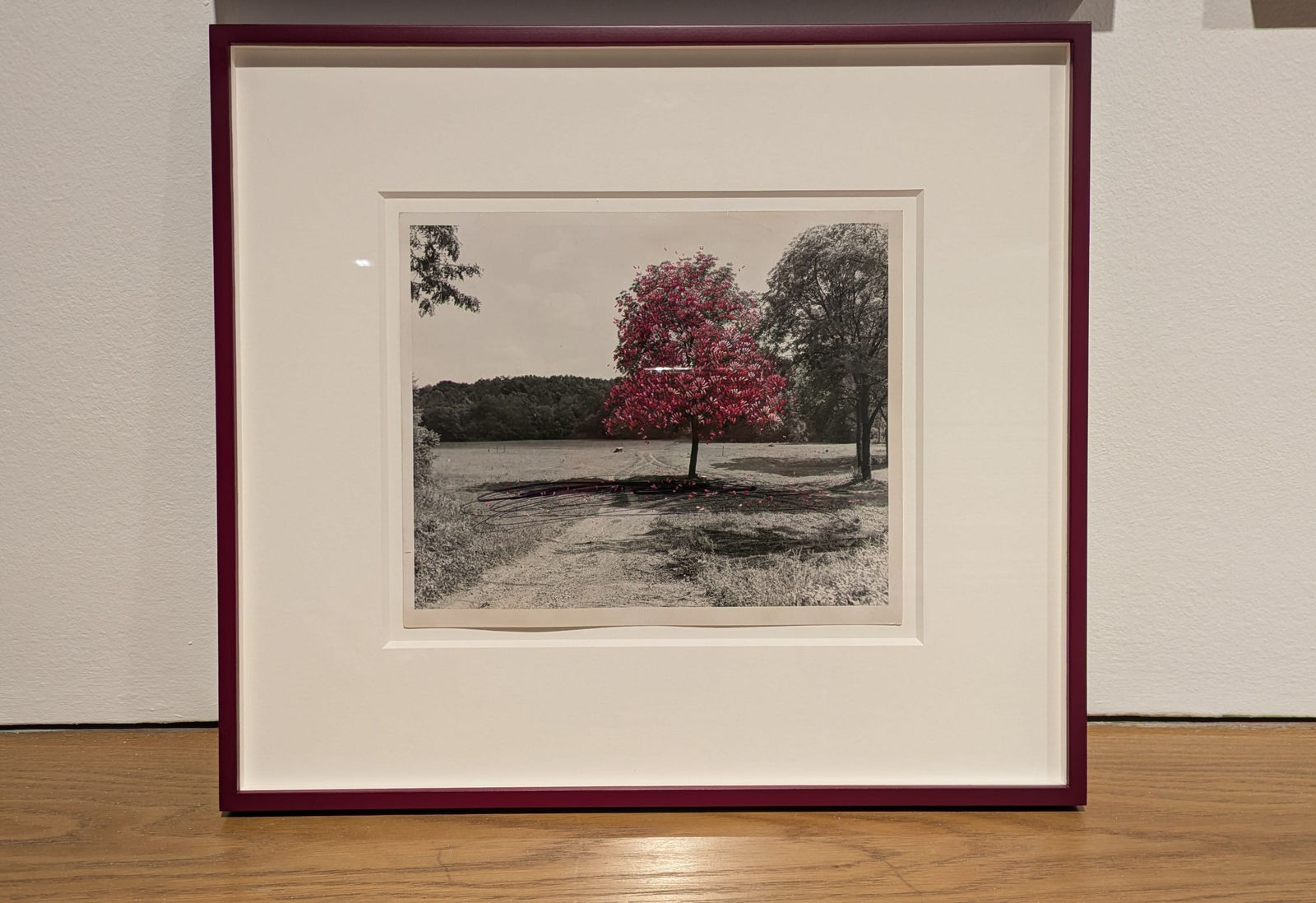 Julie Cockburn, Fleeting Blossom, 2024