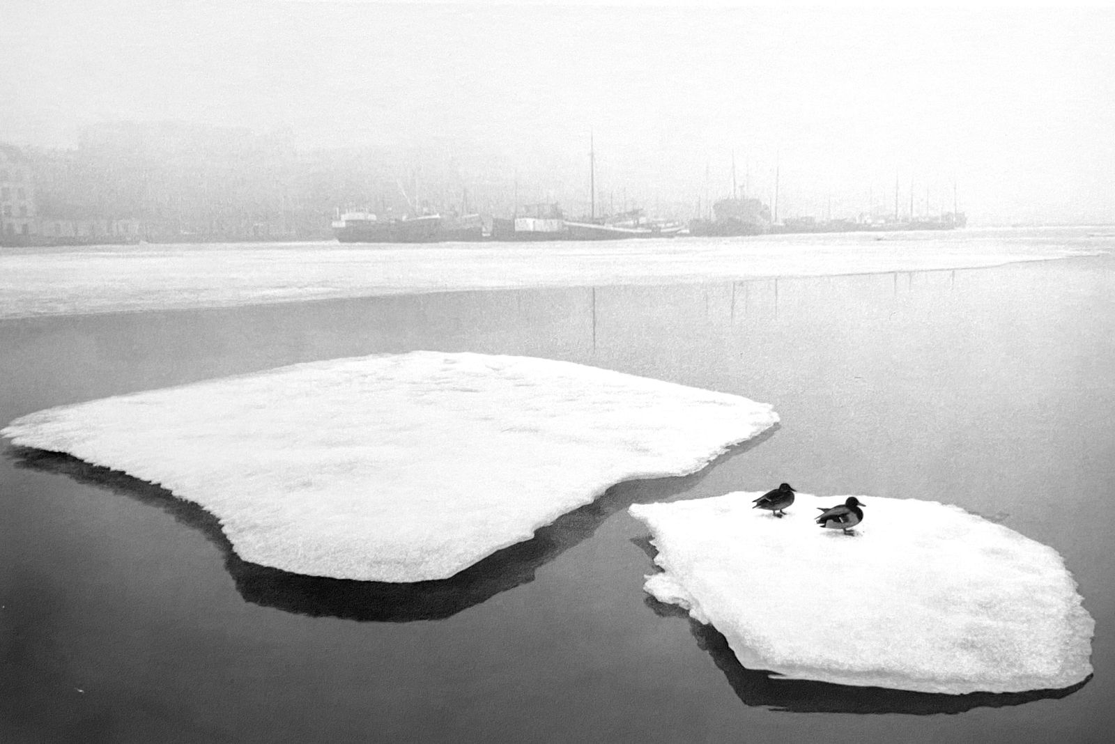 Pentti Sammallahti, Helsinki, Finland, 1973