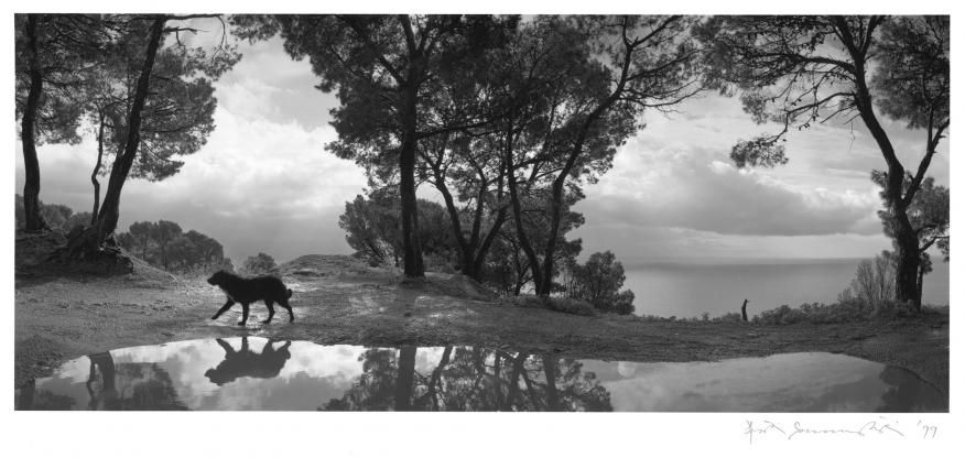 Pentti Sammallahti, Cilento, Italy, 1999