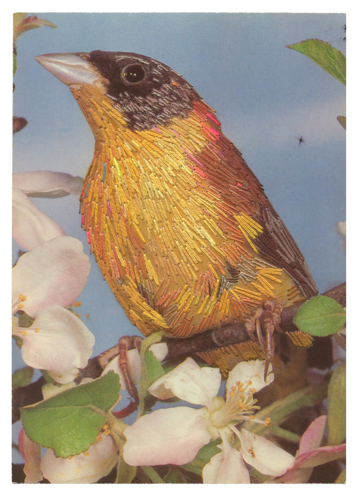 Julie Cockburn, Yellow Bird , 2024