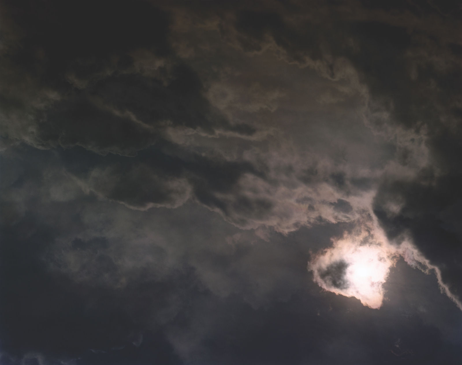 Nicholas Hughes, Untitled 14, 2012