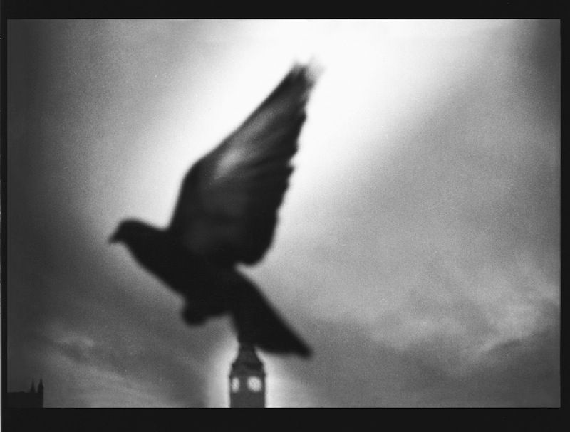 Giacomo Brunelli, Untitled 31, 2012-2014
