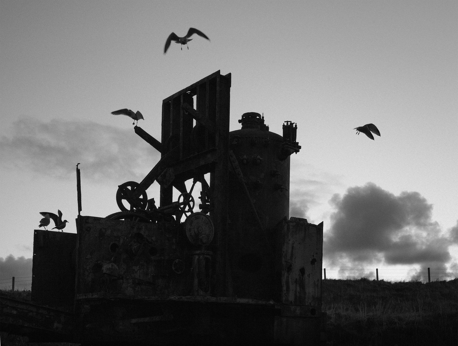 Pentti Sammallahti, Lyness, Hoy, Orkney , 2016