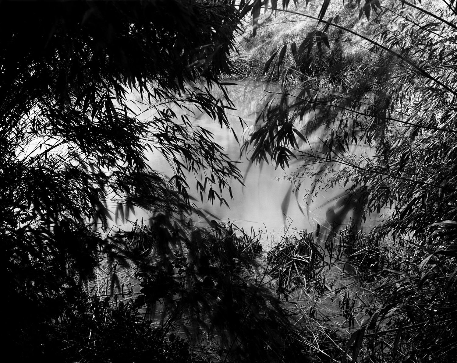 Nicholas Hughes, Verse I, #12, 2017