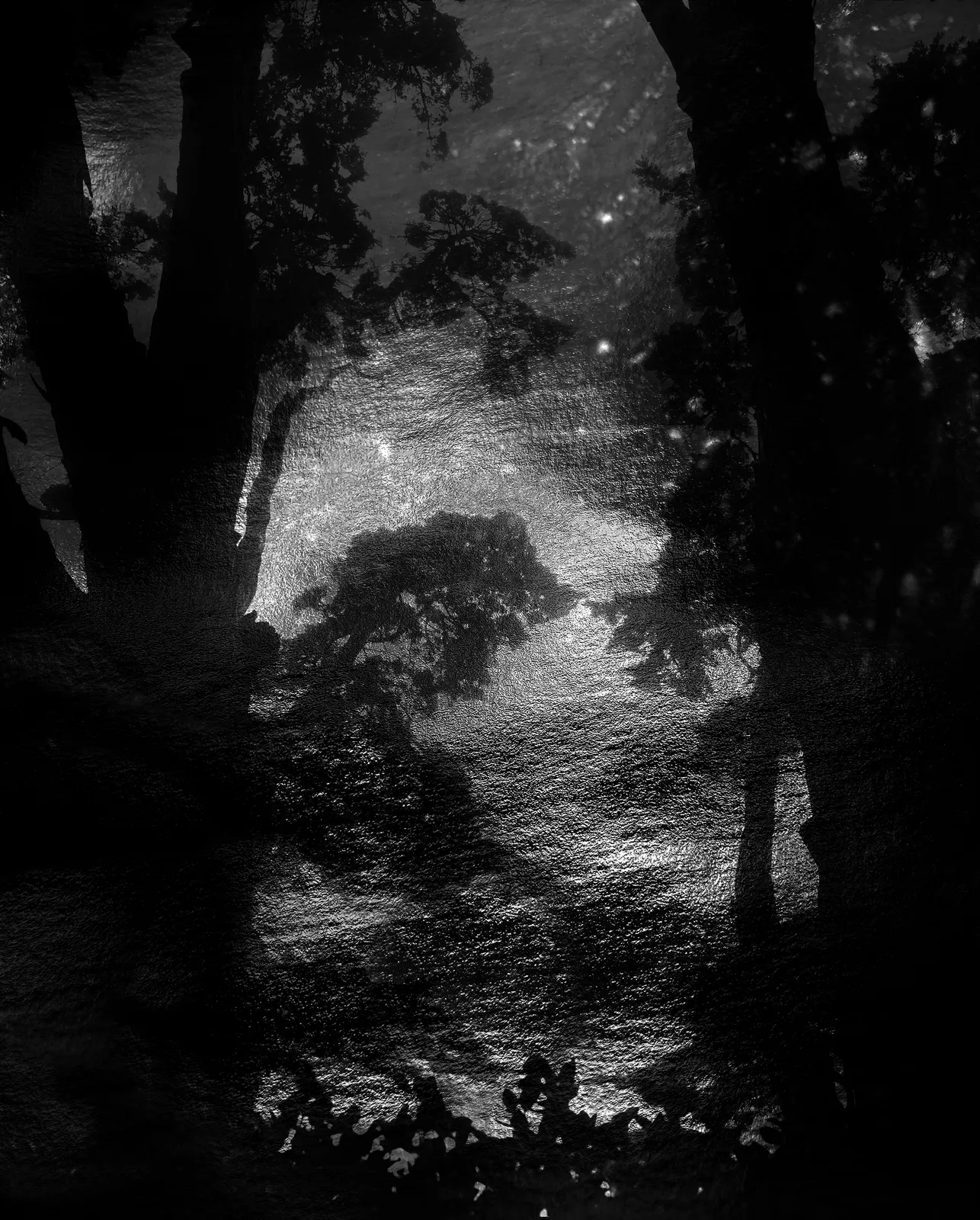 Nicholas Hughes, Untitled #53 , 2026