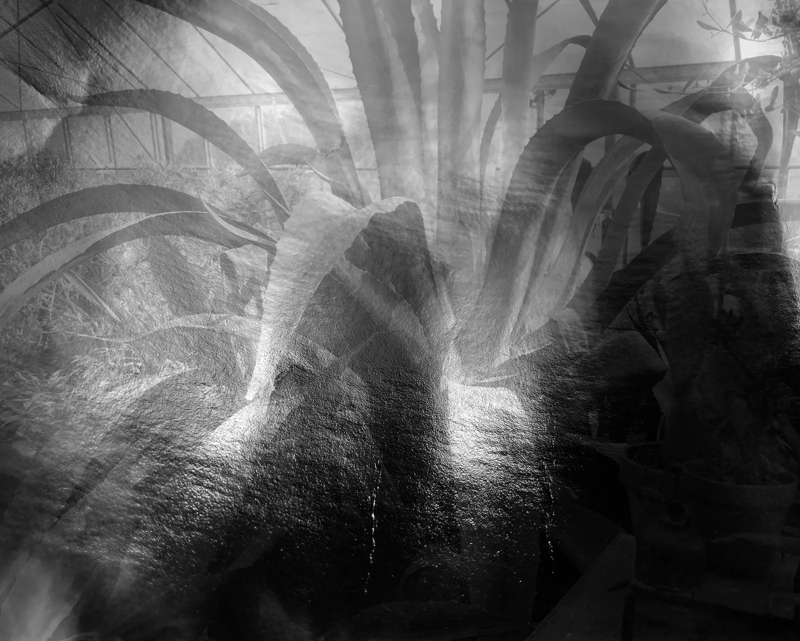 Nicholas Hughes, Untitled #22 , 2025