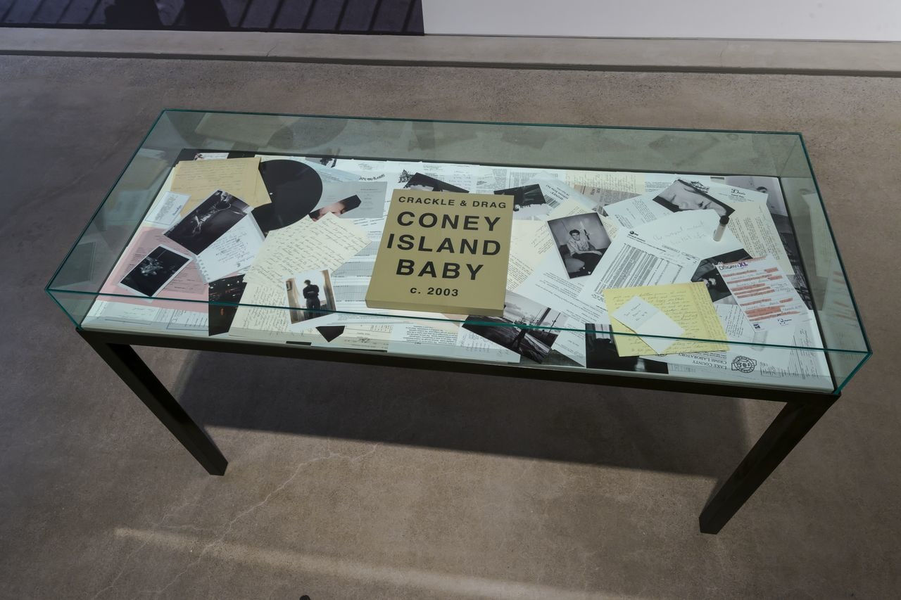 Coney Island Baby, 2014