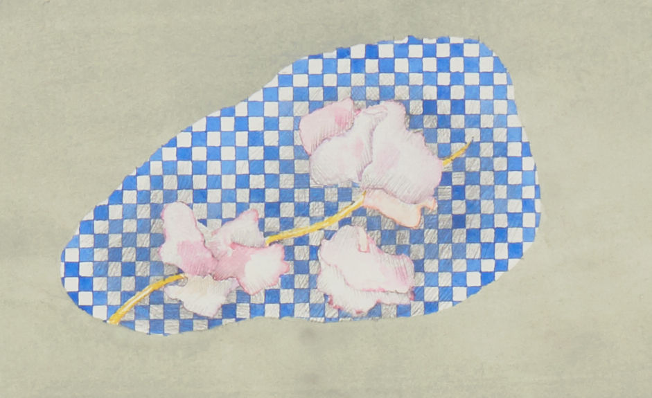 Paolo Colombo, Untitled (Hare), 2019