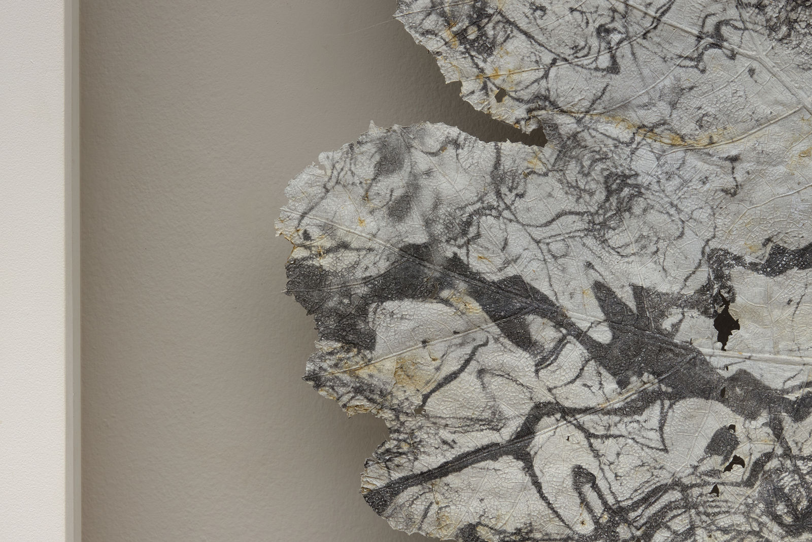 Dominique Lacloche, Leaf XV, 2025