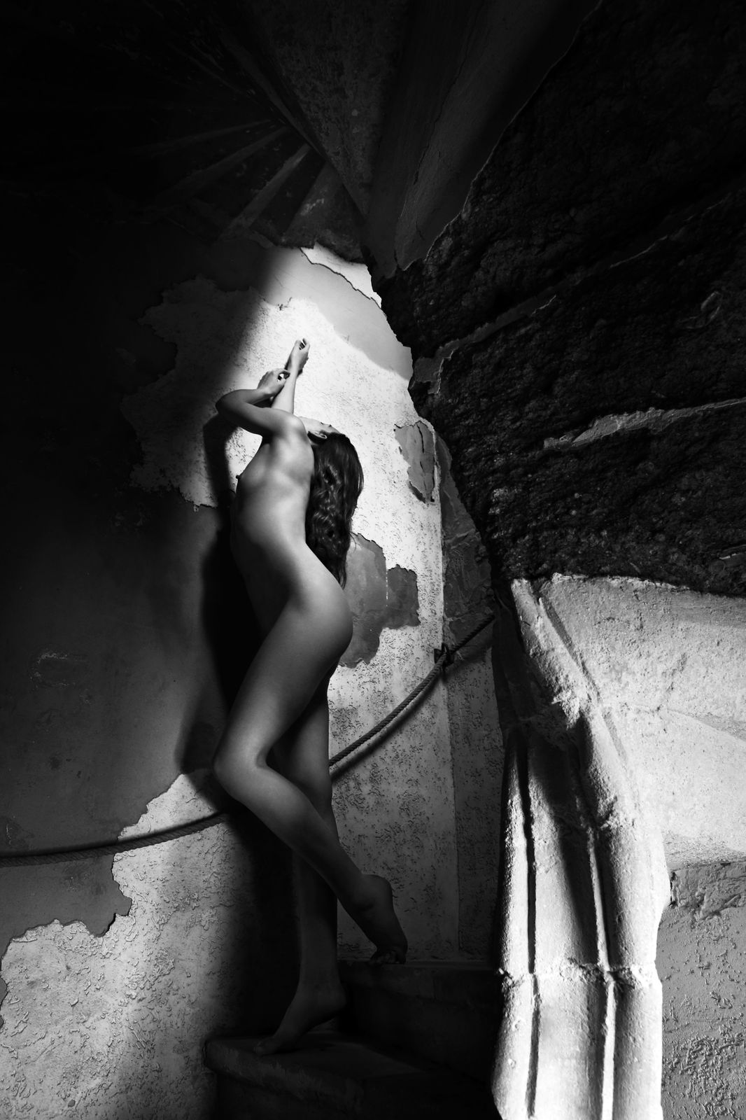 Maryam Eisler, Charmed by the Lyre , 2016