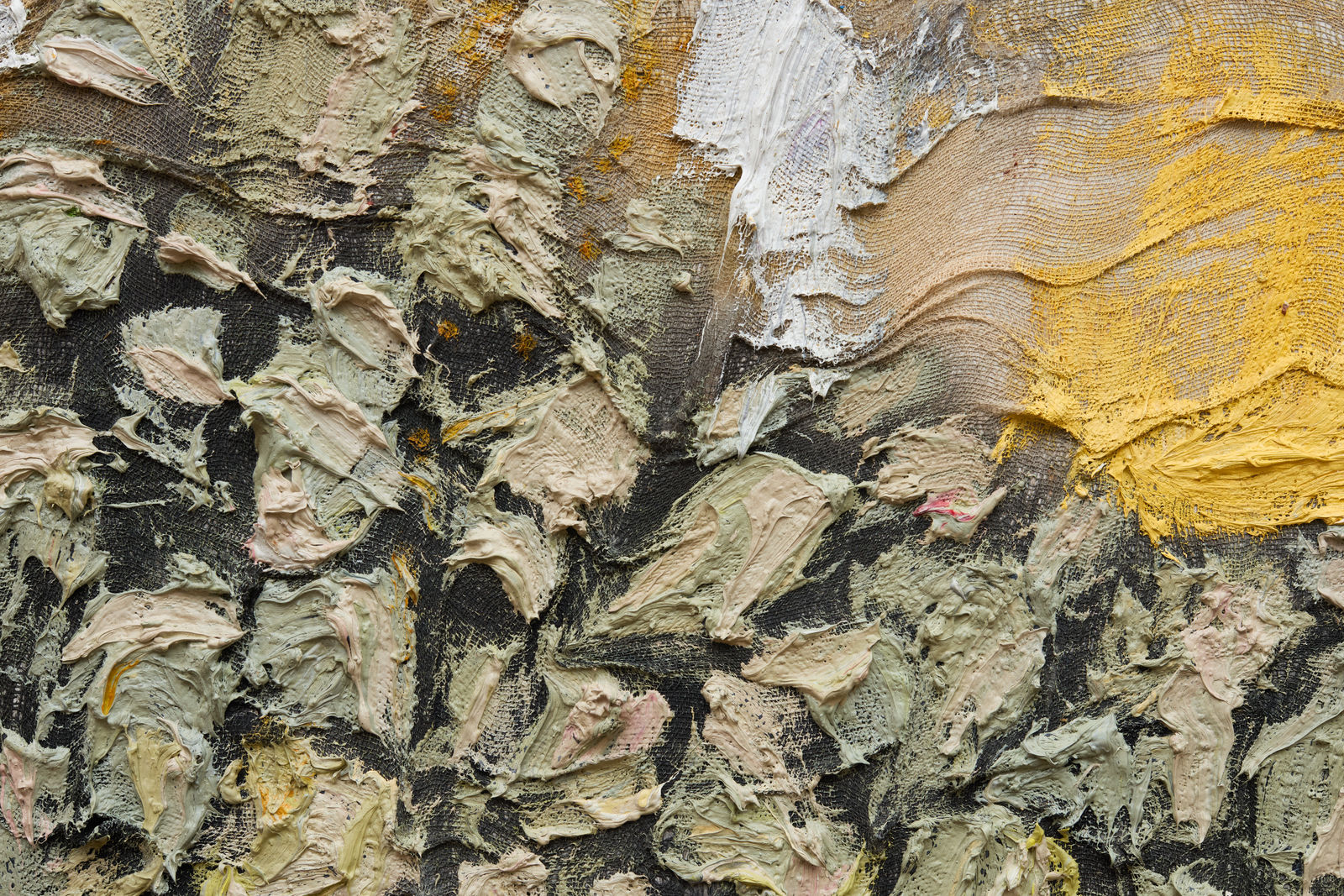 Lydia Gifford, Untitled, 2025