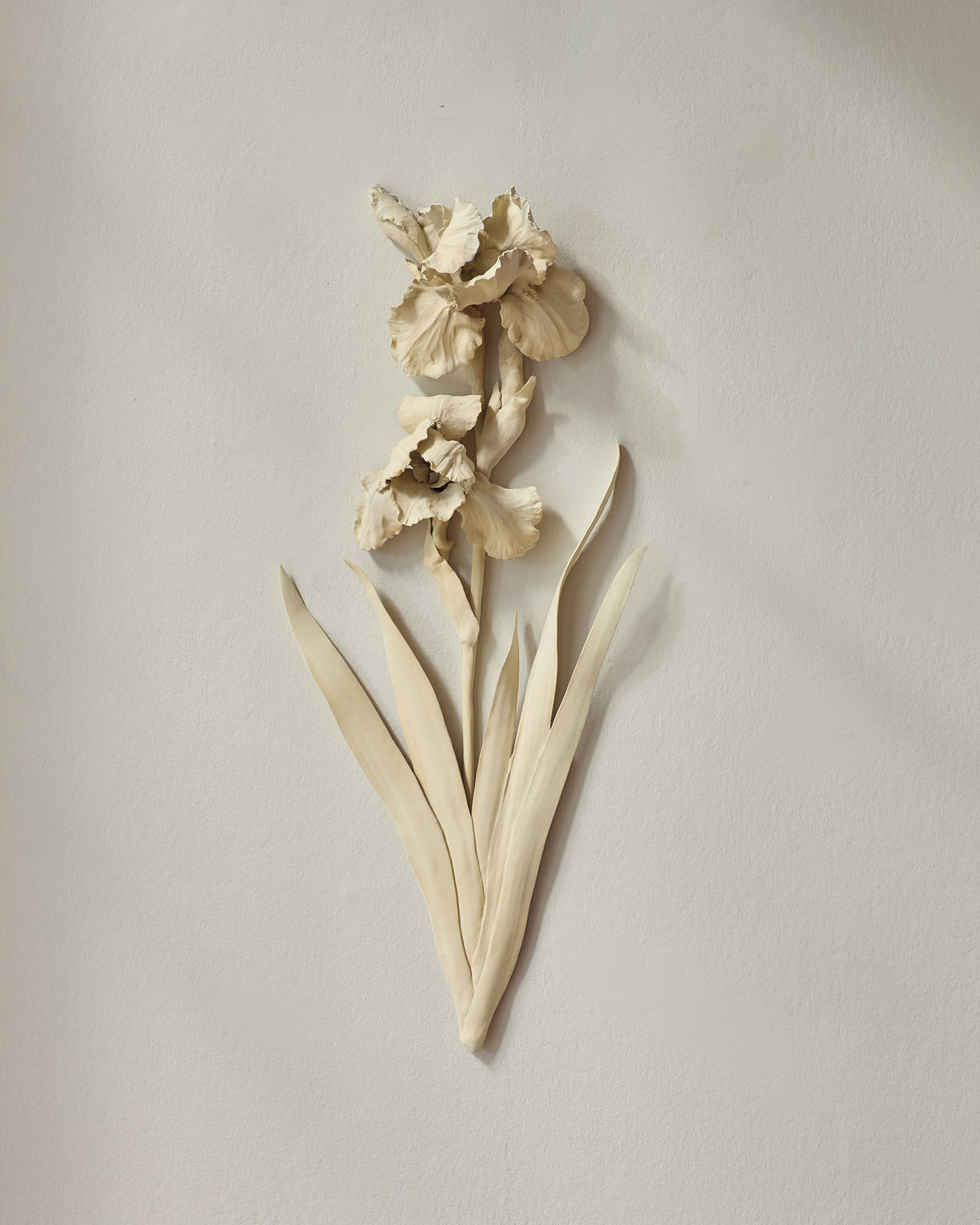 Kaori Tatebayashi, *German Iris, 2024