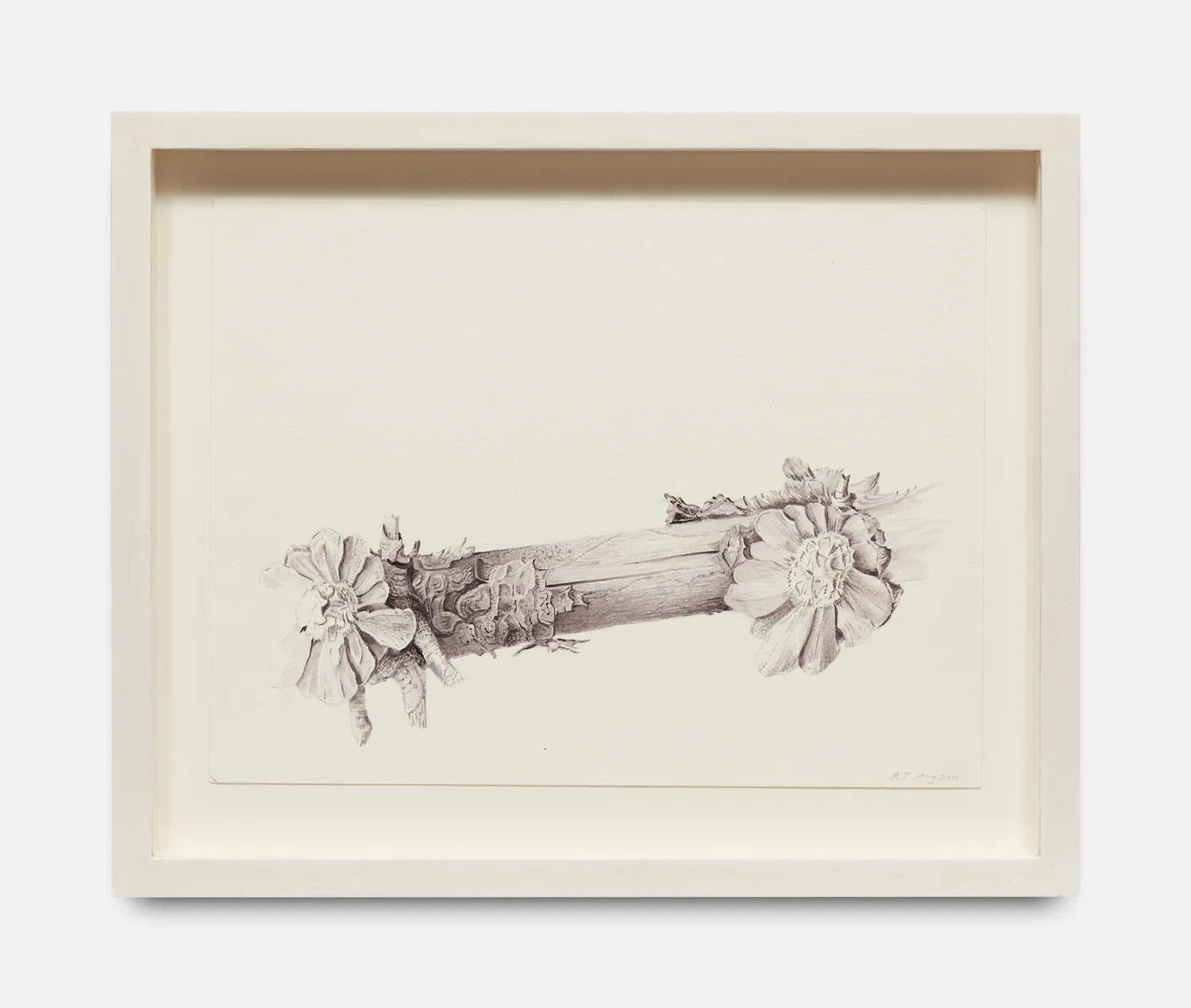 Rebecca John, Fragmenting Pine Cones. Tuscany, August 2011. , 2011