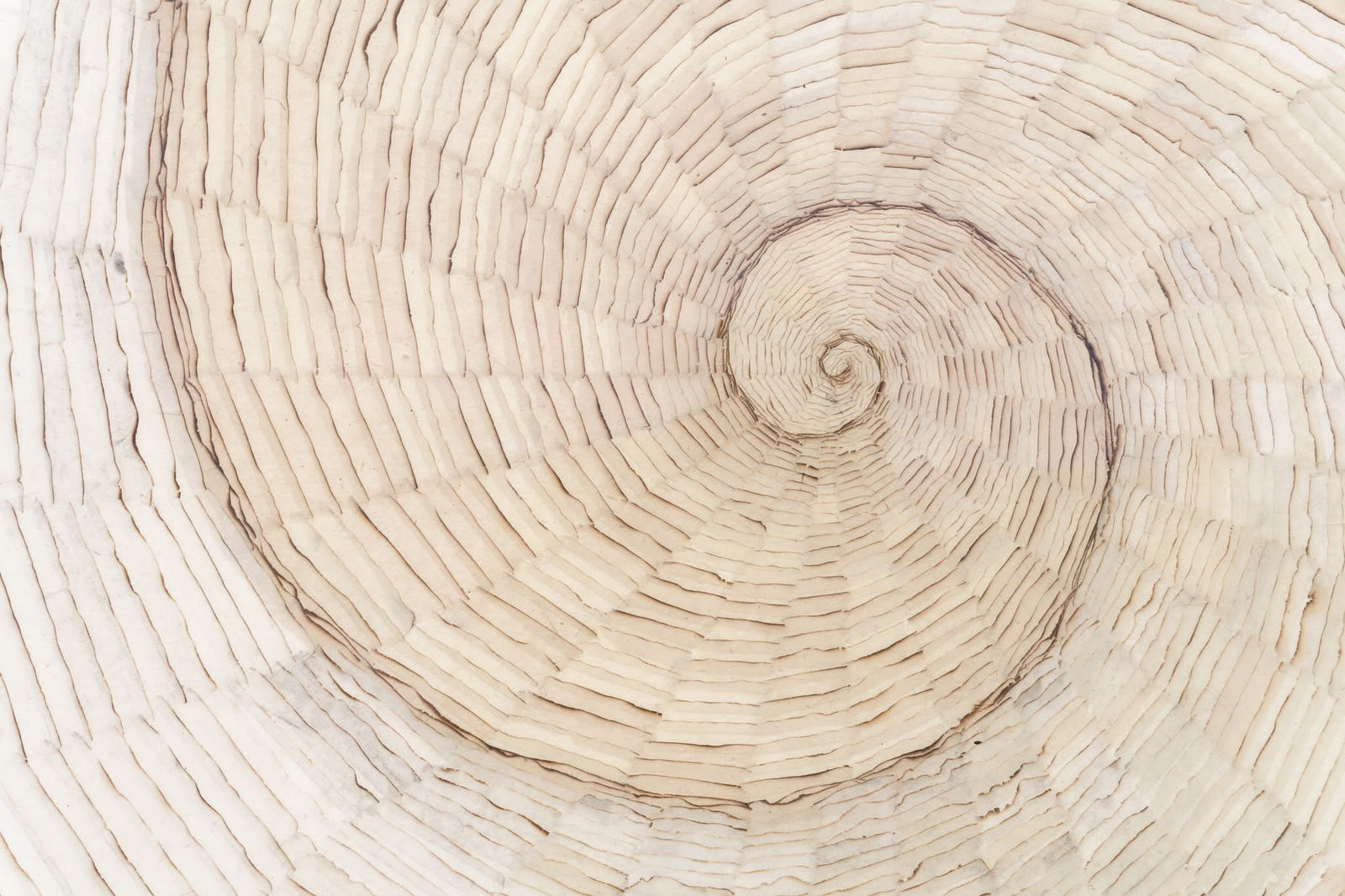 Minjung Kim, Nautilus, 2021