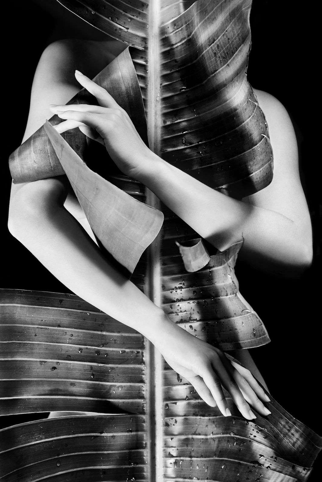 Maryam Eisler, Carmel 25 (Bodie House IV), 2018