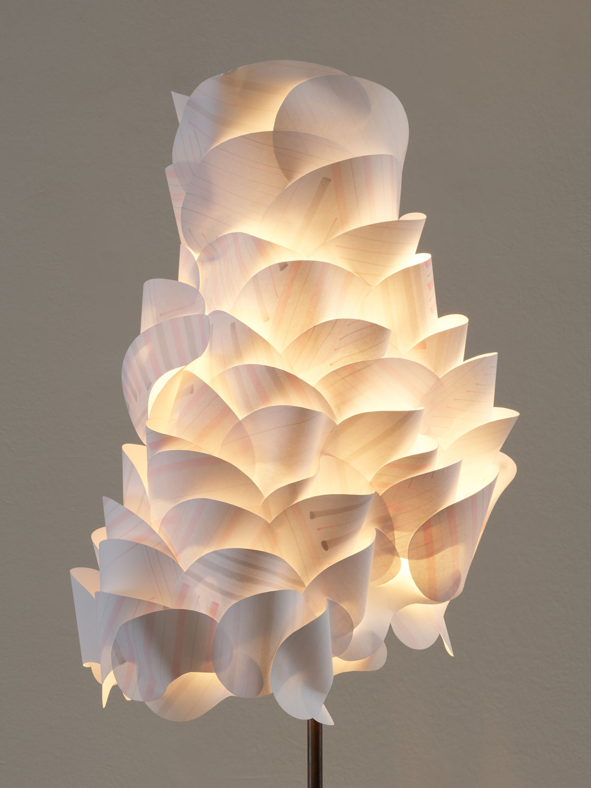 Orsina Sforza, Pangolina Rosagrigia, 2022