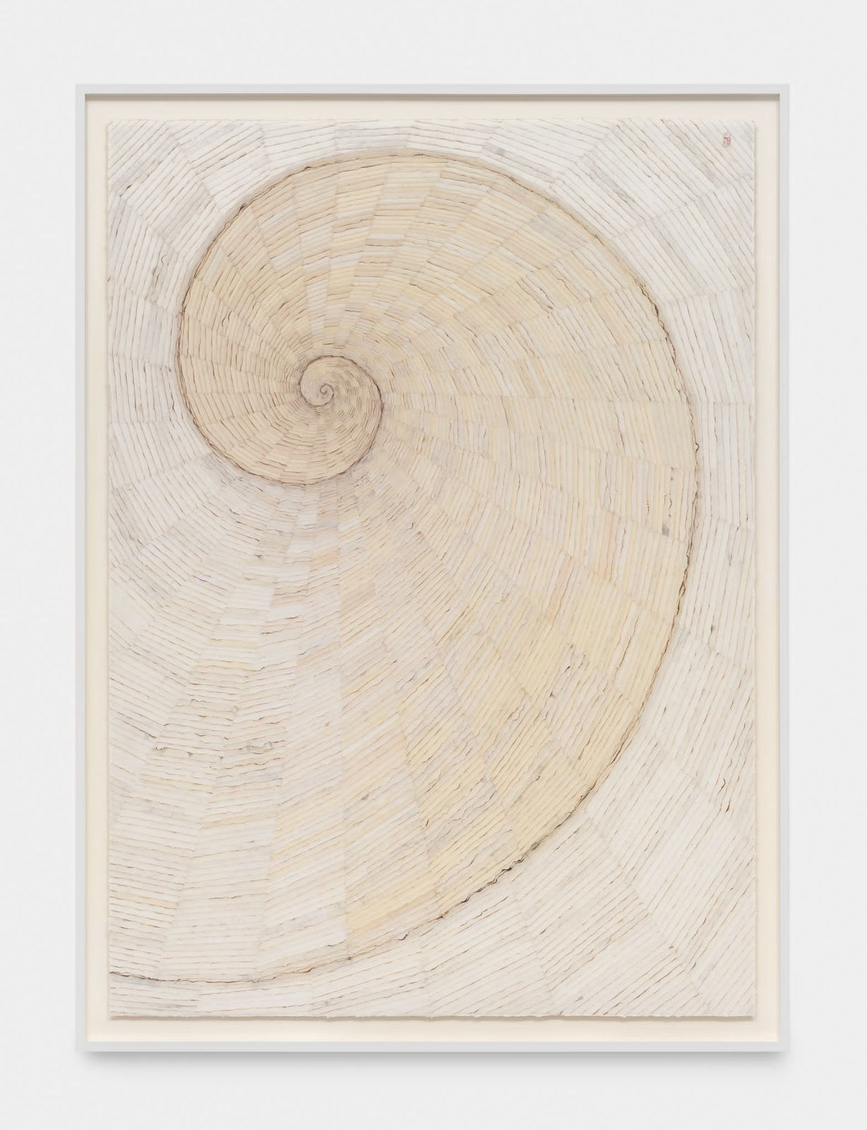 Minjung Kim, Nautilus, 2021