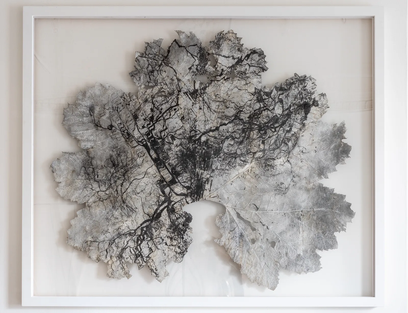 Dominique Lacloche, Leaf V, 2020