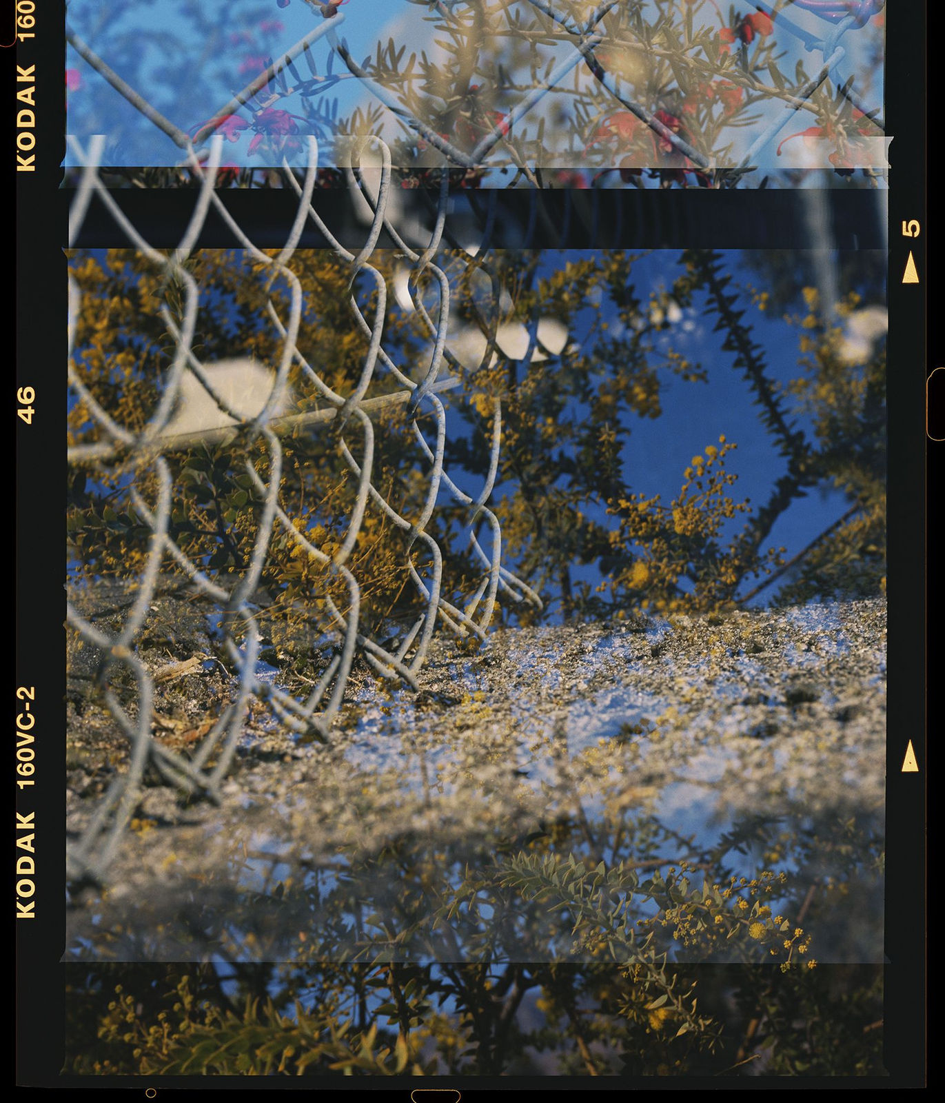 Kireilyn Barber, RT_40, 2021