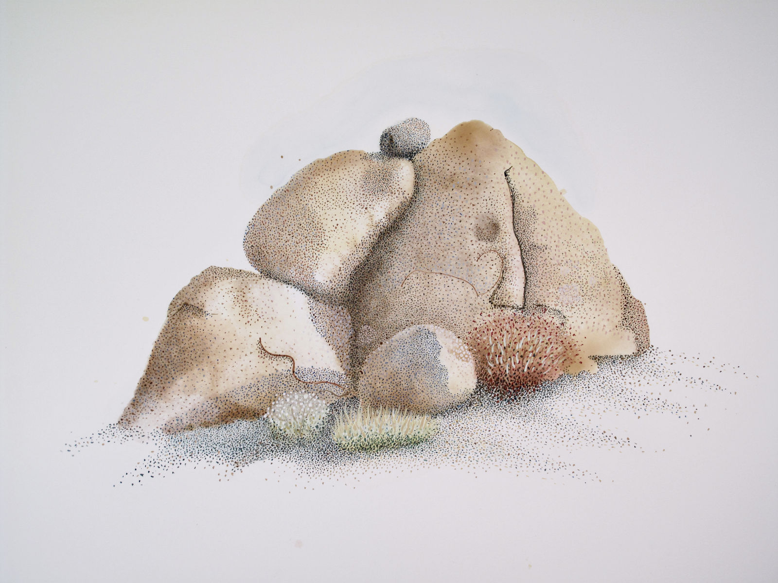 Noel Korten, Alabama Hills XXV, 2016