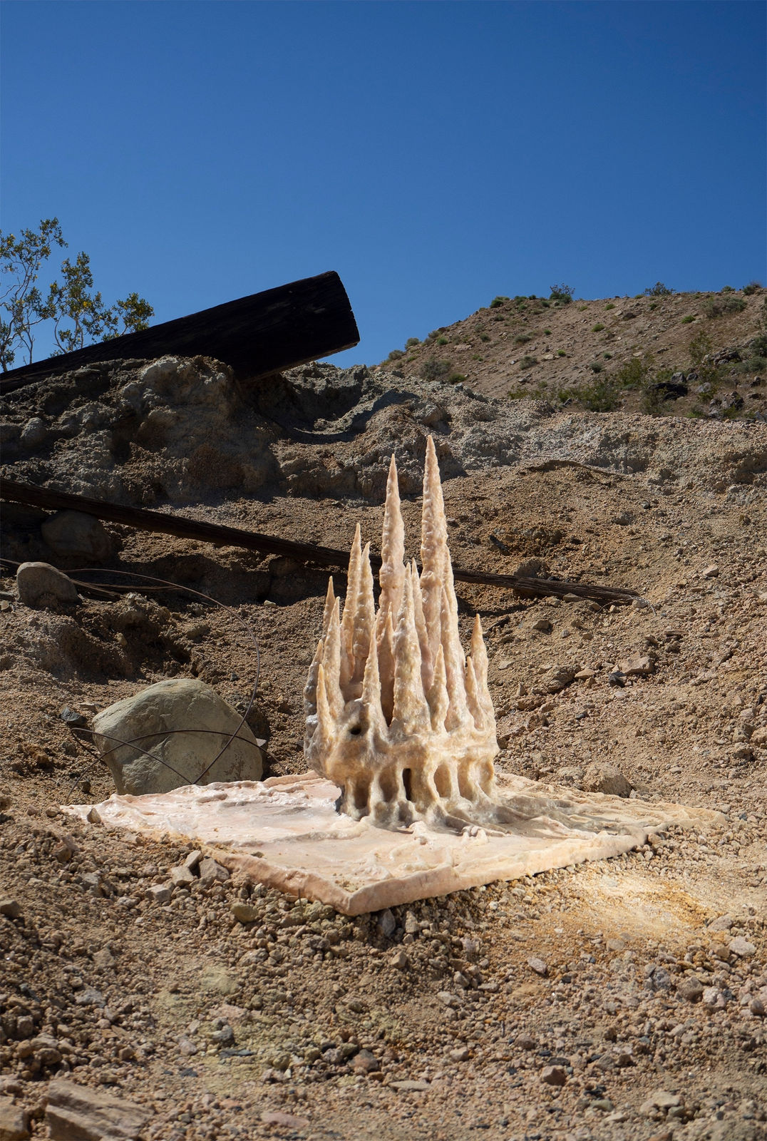 Lara Joy Evans, Termite Ascension No. 1, 2020