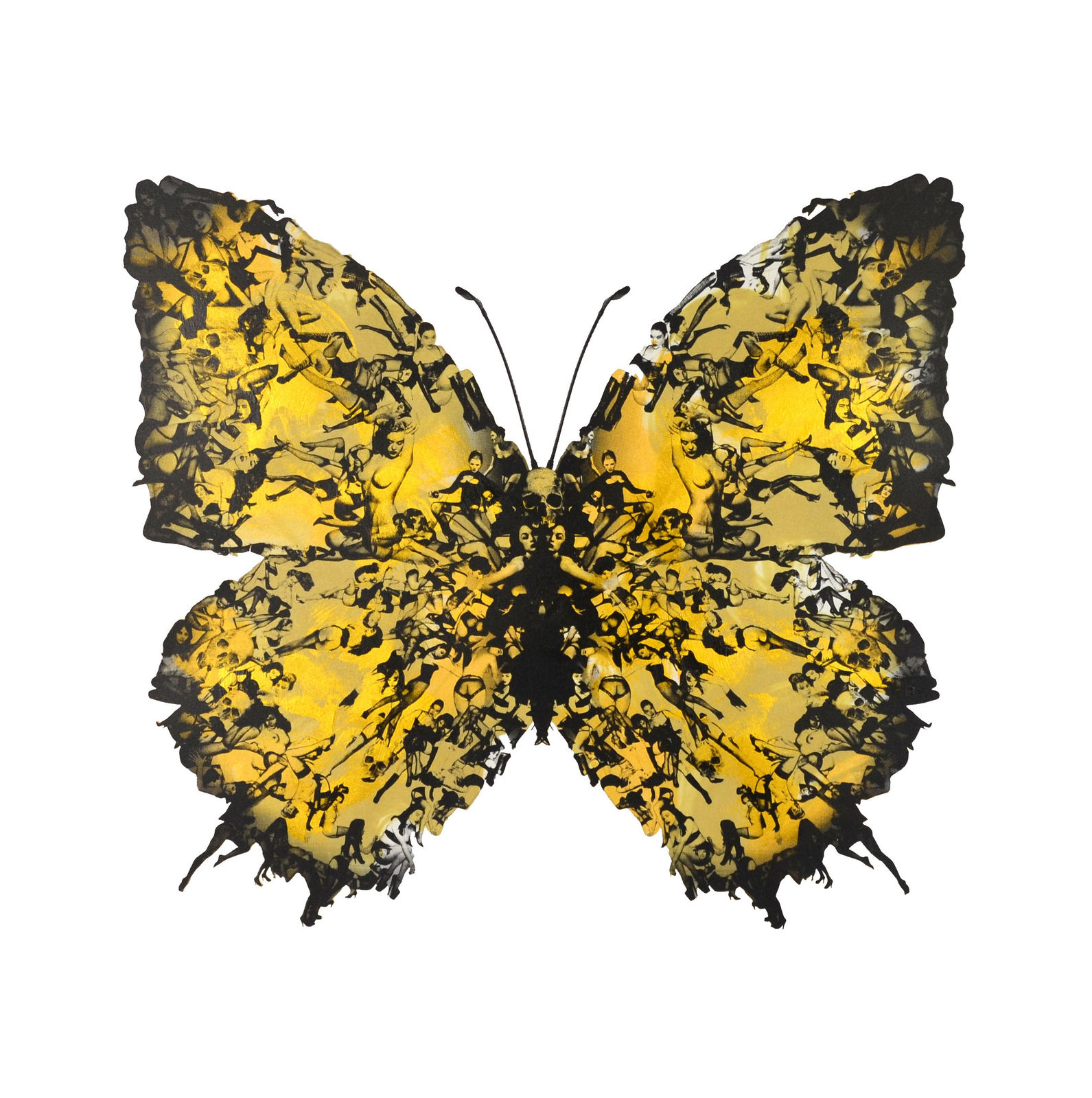 Cassandra Yap, Mono 66, Butterfly, Girls, Turner Art Perspective, Essex Chelmsford Art Gallery