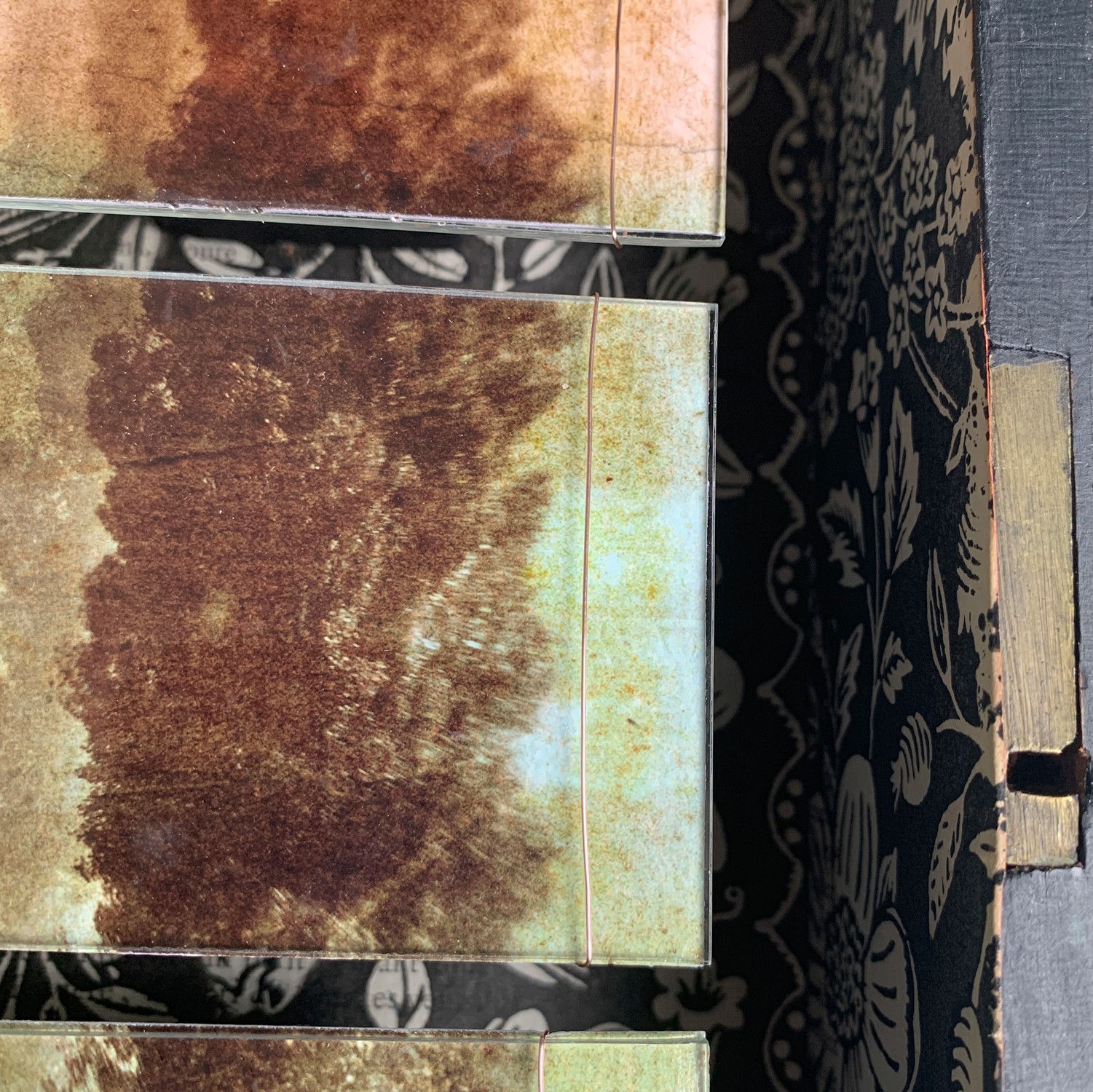 Vintage storybox with photograph of tree