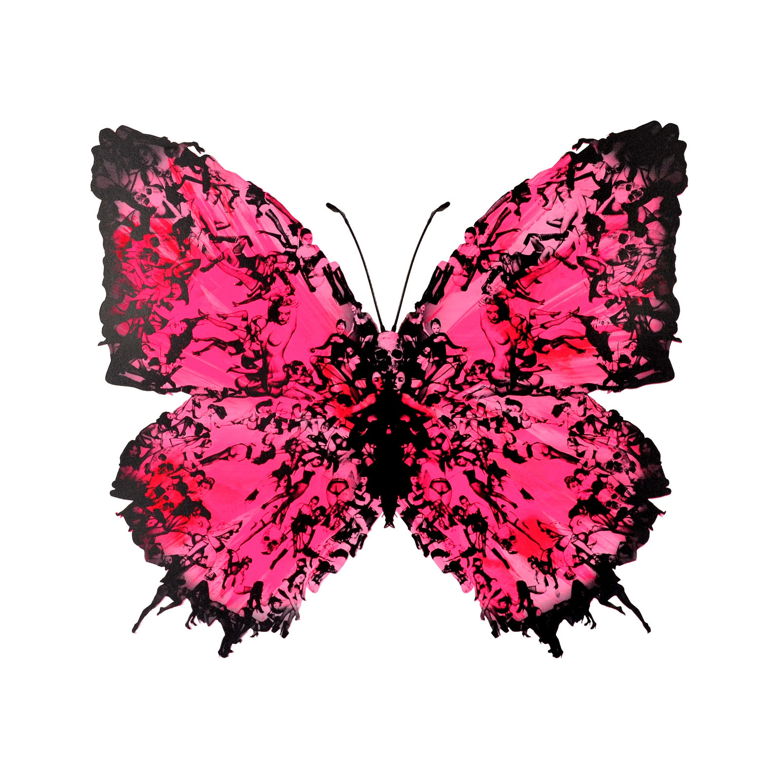 Cassandra Yap, Mono 59, Butterfly, Girls, Turner Art Perspective, Essex Chelmsford Art Gallery