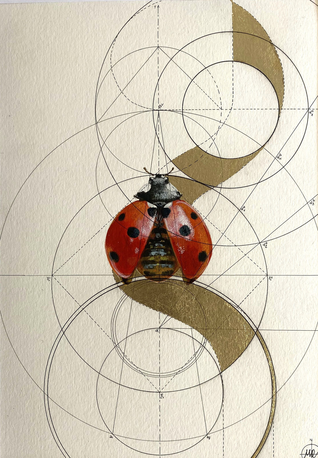 Original painting of lady bird with gold leaf, linking together nature and geometry, with interlinking circles and triangles in background. Turner Art Perspective, Essex gallery.