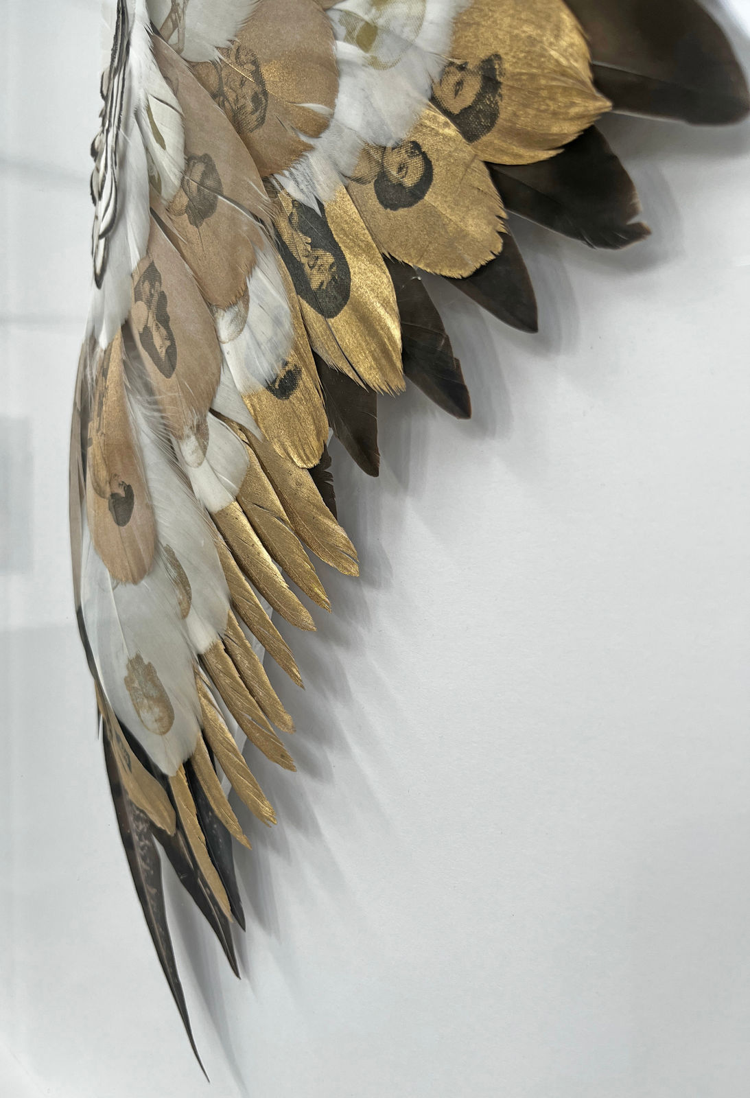 Cassandra Yap, To The Sun and Back, Artist, Art, Gold, Feathers, Gold leaf, Pin Up Girls, Turner Art Perspective, Essex Chelmsford Art Gallery