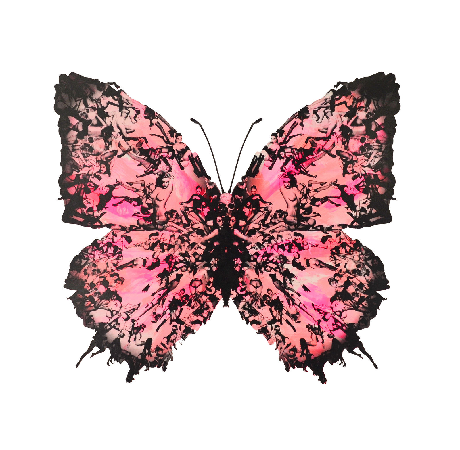 Cassandra Yap, Mono 67, Butterfly, Girls, Turner Art Perspective, Essex Chelmsford Art Gallery