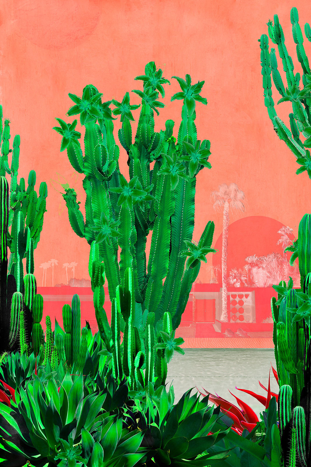print by artist Nadia Attura depicting a pink miami background wit green cactus in foreground. Turner Art Perspective, Essex Gallery