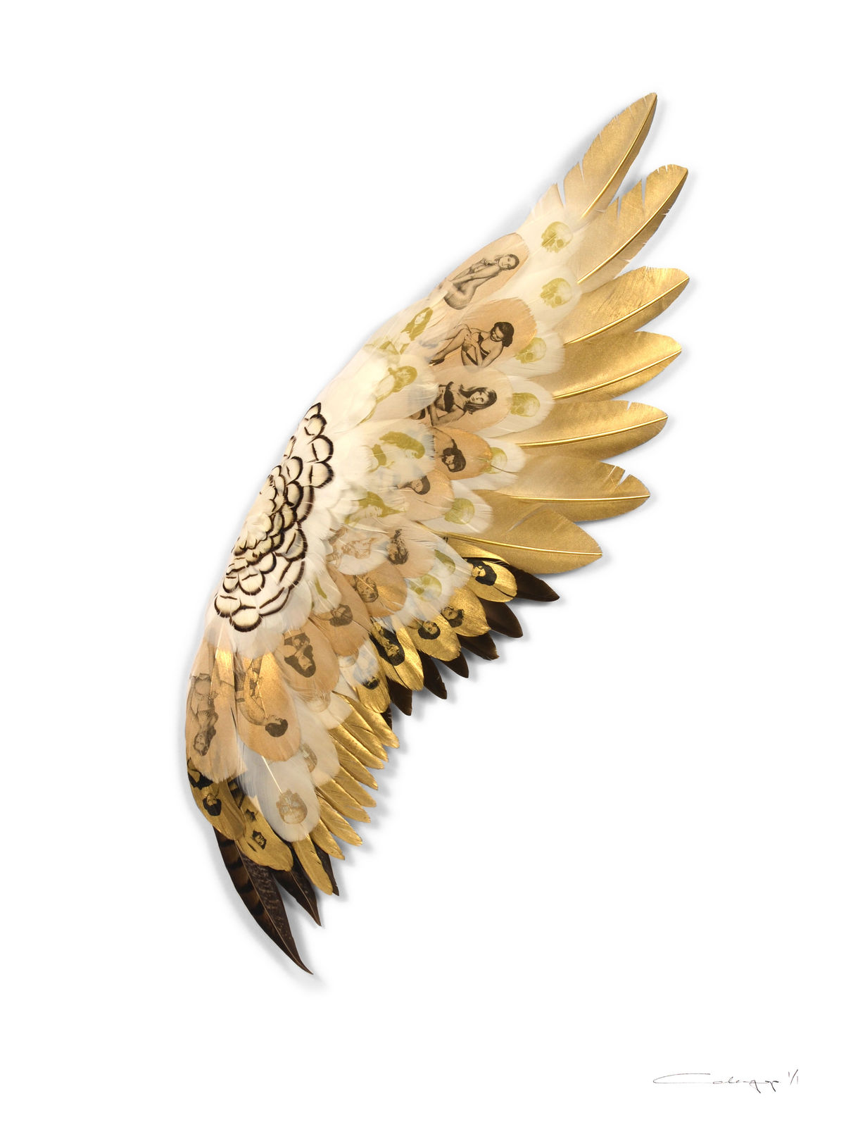 Cassandra Yap, To The Sun and Back, Artist, Art, Gold, Feathers, Gold leaf, Pin Up Girls, Turner Art Perspective, Essex Chelmsford Art Gallery