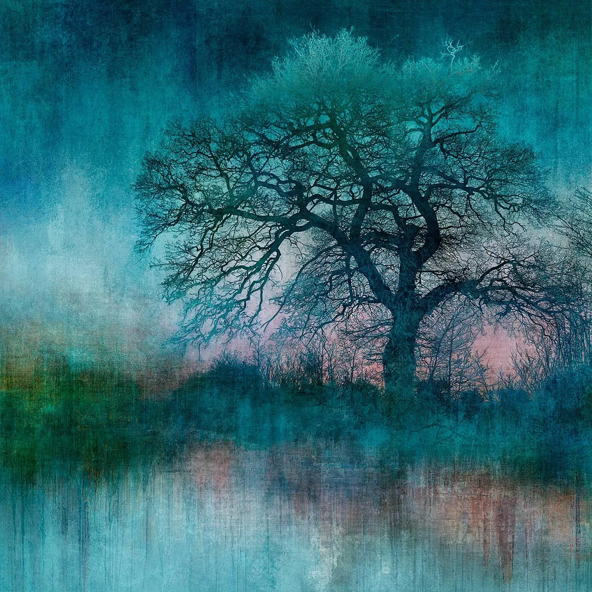 Mark Munroe-Preston, Artist, N51.983 W1.7111, Tree, Treescape, Turner Art Perspective, Essex Chelmsford Art Gallery