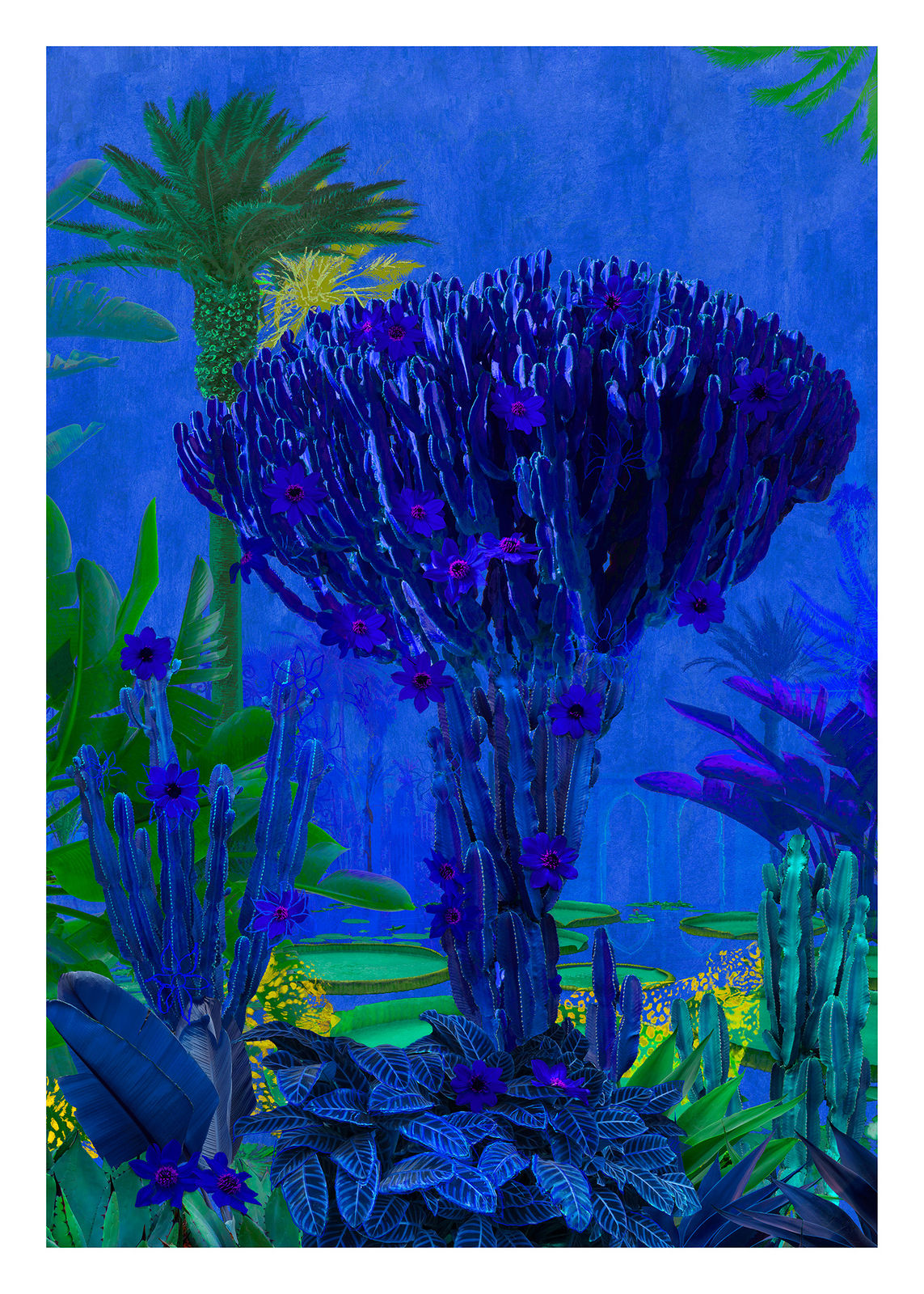 Stylised photograph by artist Nadia Attura depicting a cactus tree. Turner Art Perspective. Essex Gallery