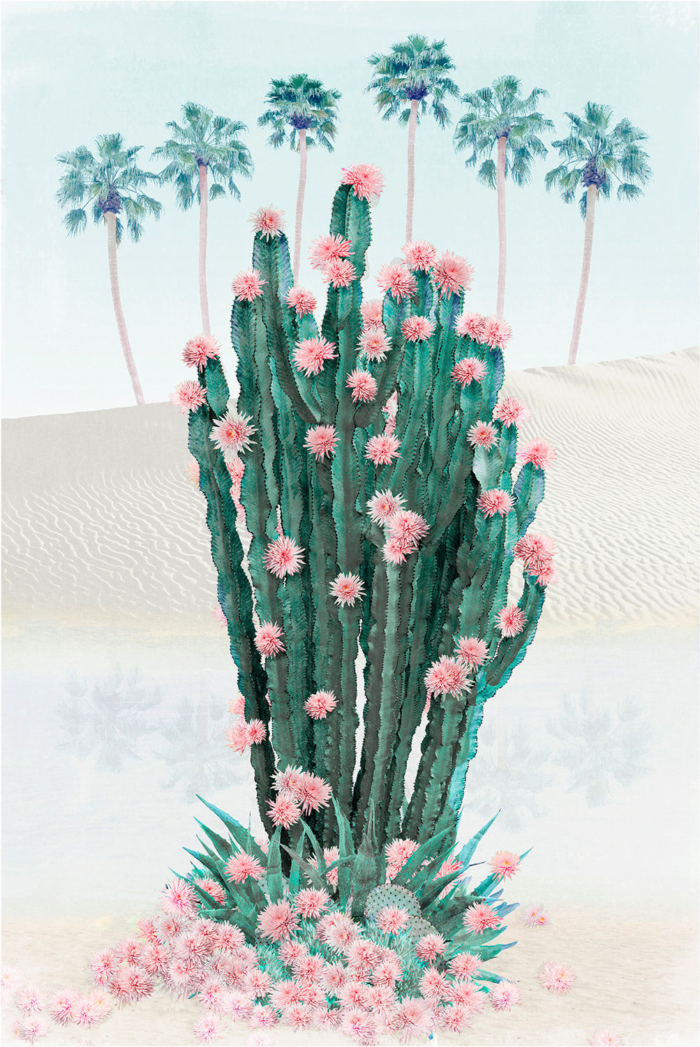 Stylised photograph by artost nadia attura depicting a desert with green cactus and blossoms. Turner Art Perspective. Essex Gallery