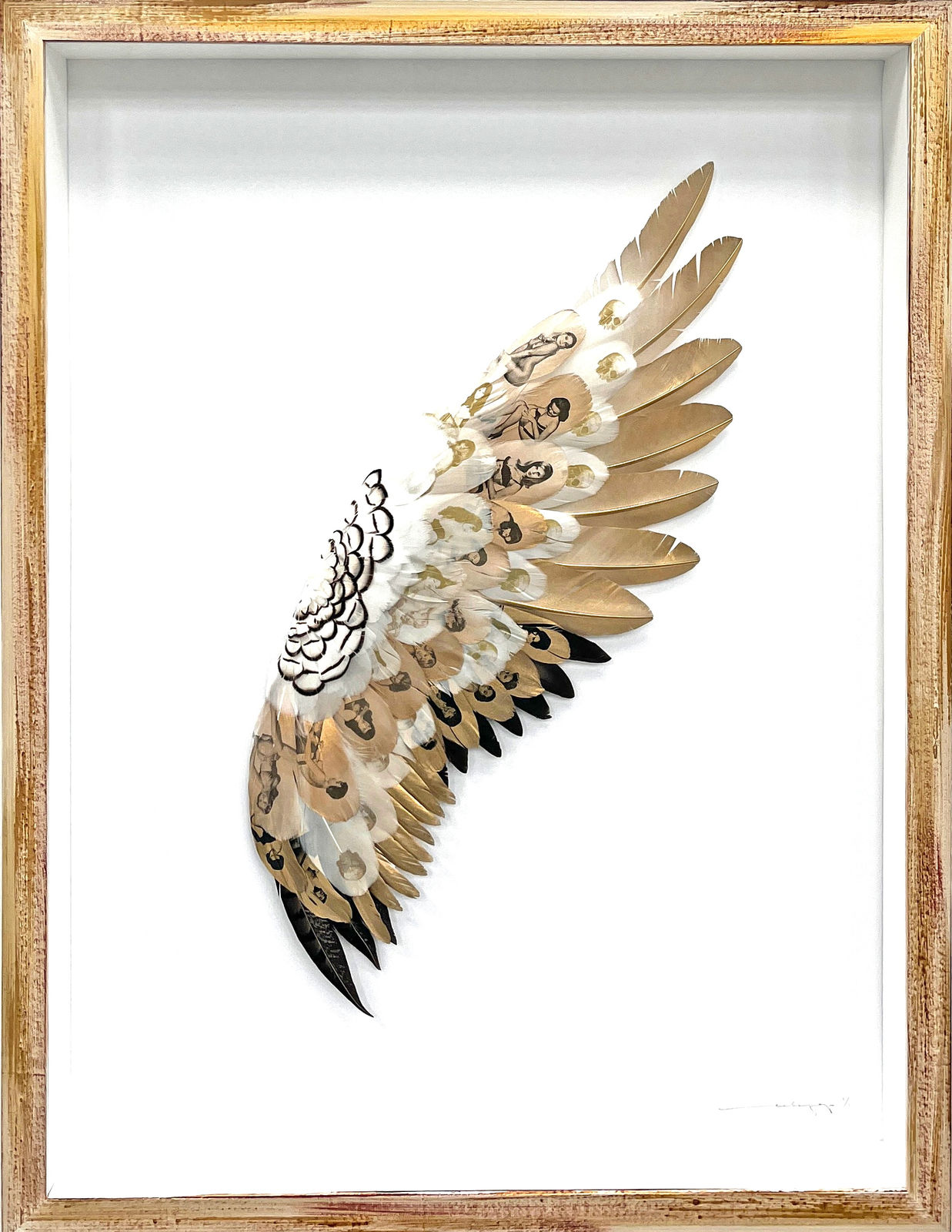 Cassandra Yap, To The Sun and Back, Artist, Art, Gold, Feathers, Gold leaf, Pin Up Girls, Turner Art Perspective, Essex Chelmsford Art Gallery