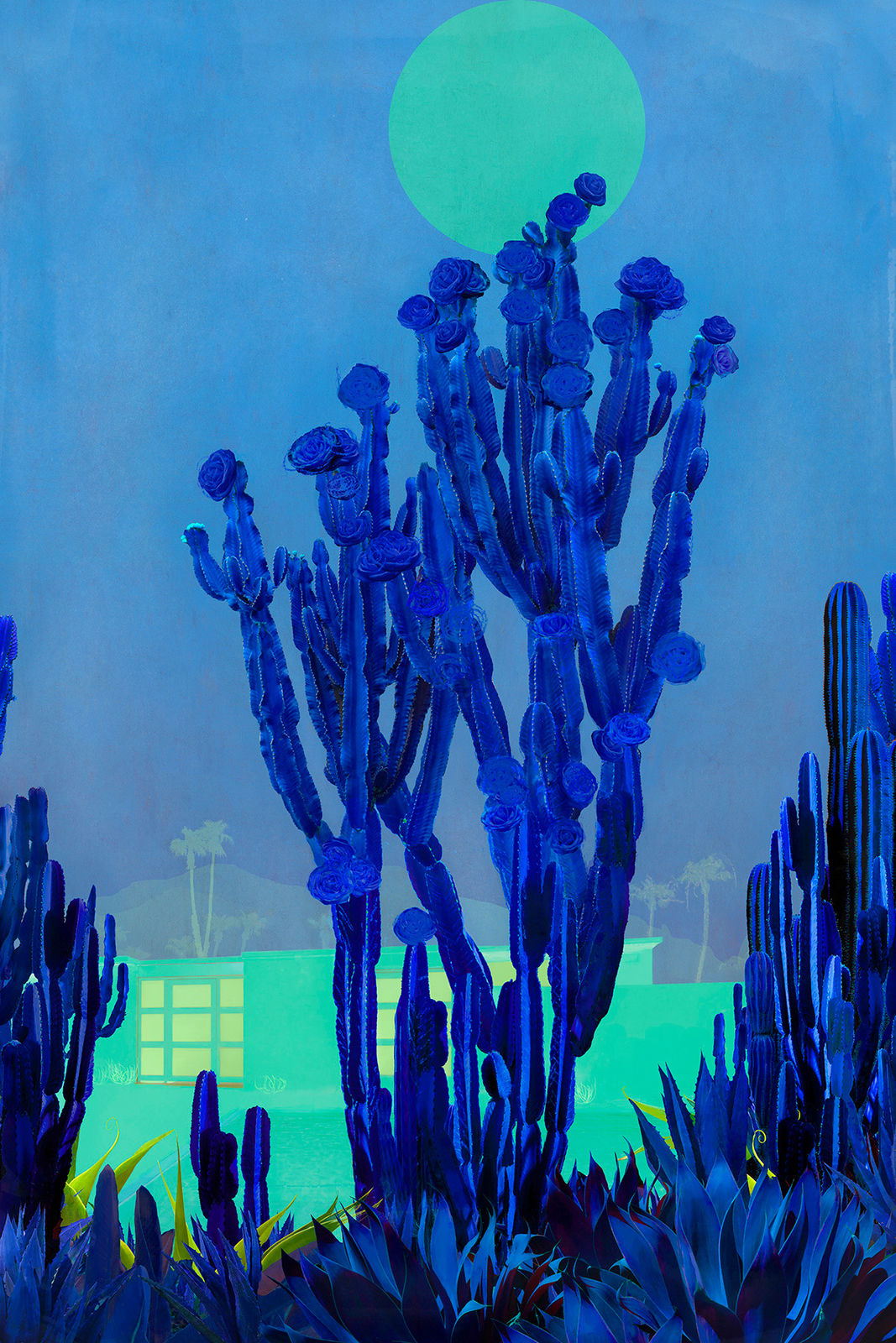 Stylised photograph by artist nadia attura depicting a blue cactus in shadow with a pale green moon in the background. Turner Art Perspective. Essex Gallery