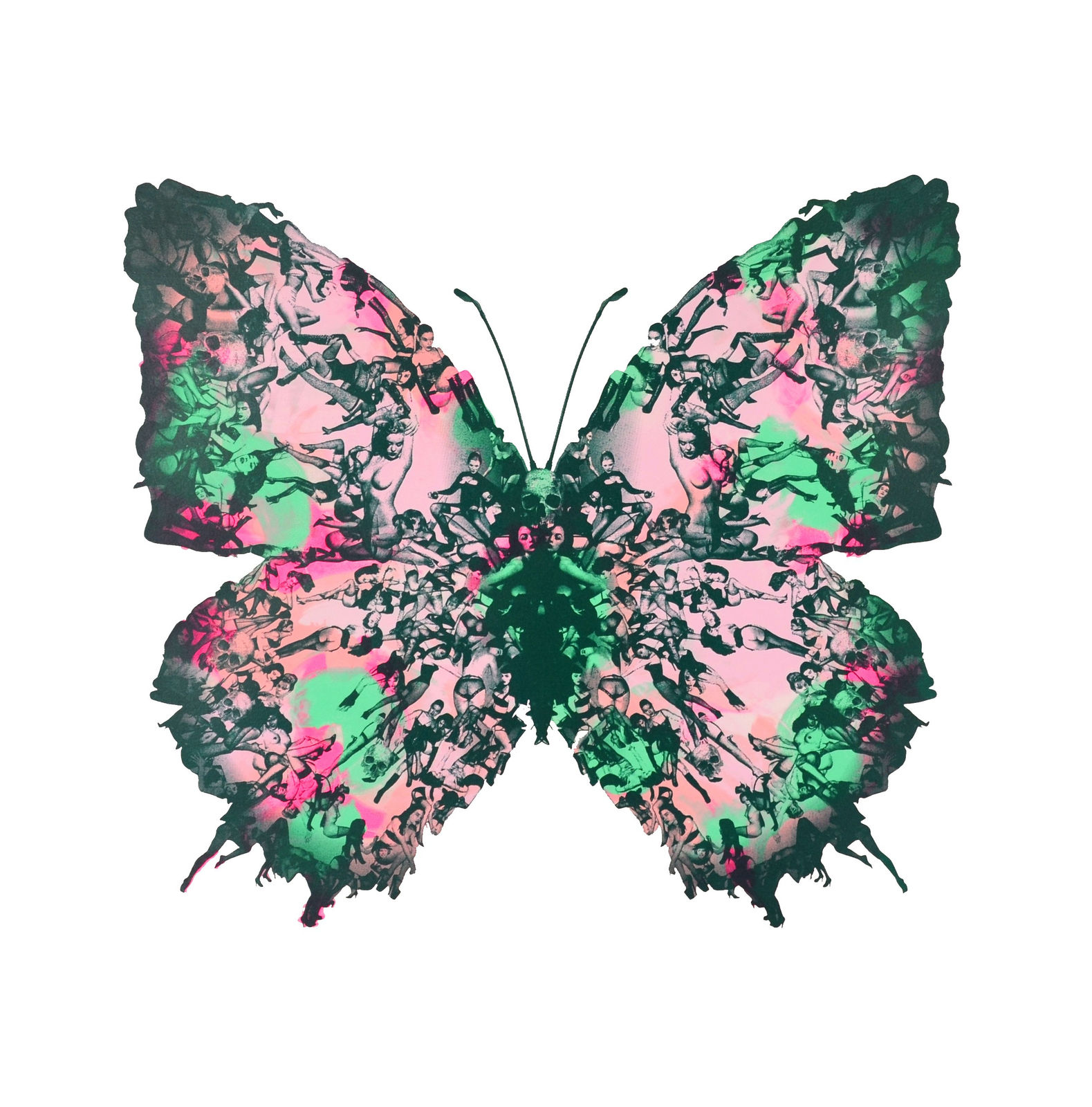 Cassandra Yap, Mono 65, Butterfly, Girls, Turner Art Perspective, Essex Chelmsford Art Gallery