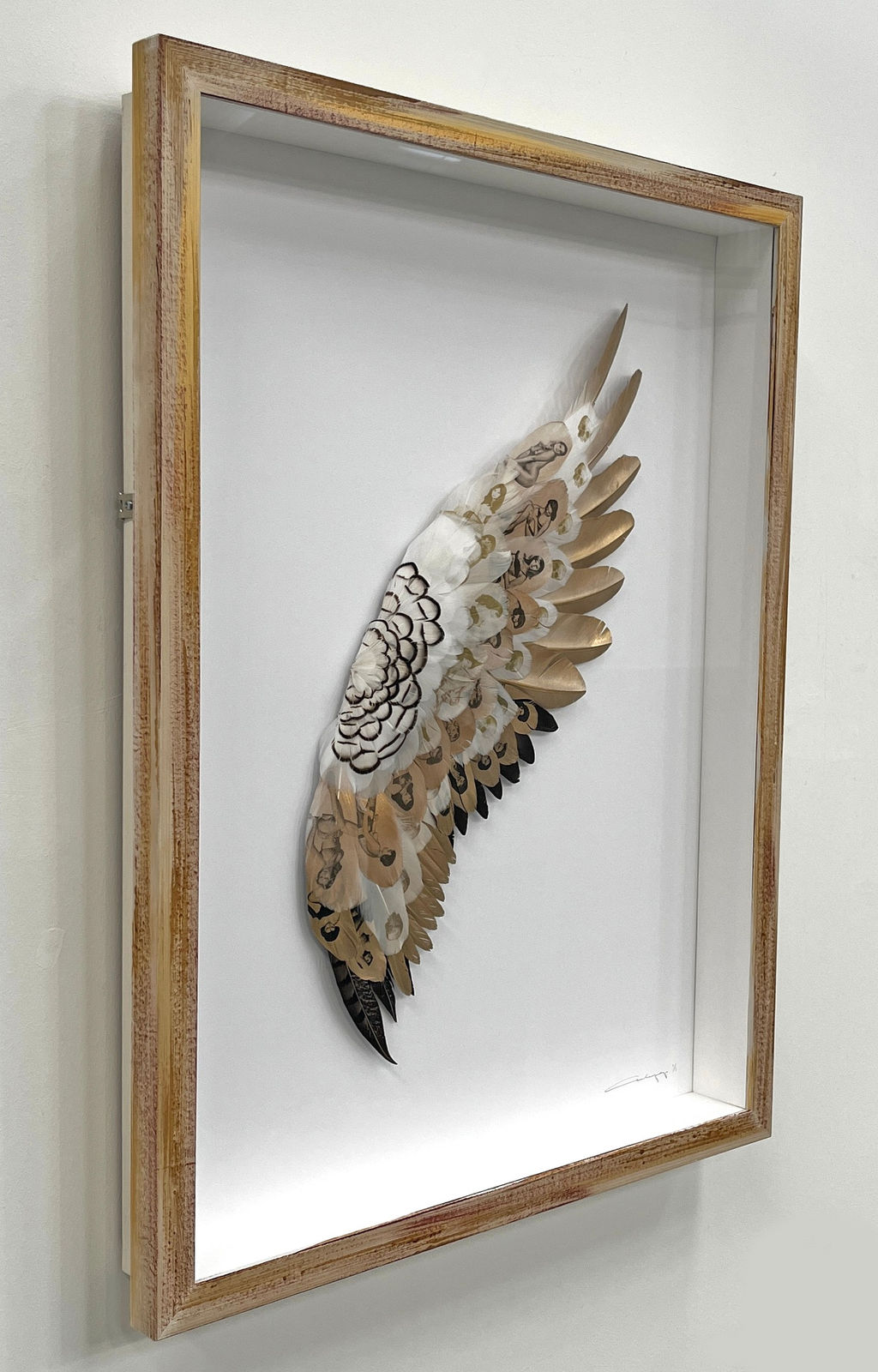 Cassandra Yap, To The Sun and Back, Artist, Art, Gold, Feathers, Gold leaf, Pin Up Girls, Turner Art Perspective, Essex Chelmsford Art Gallery