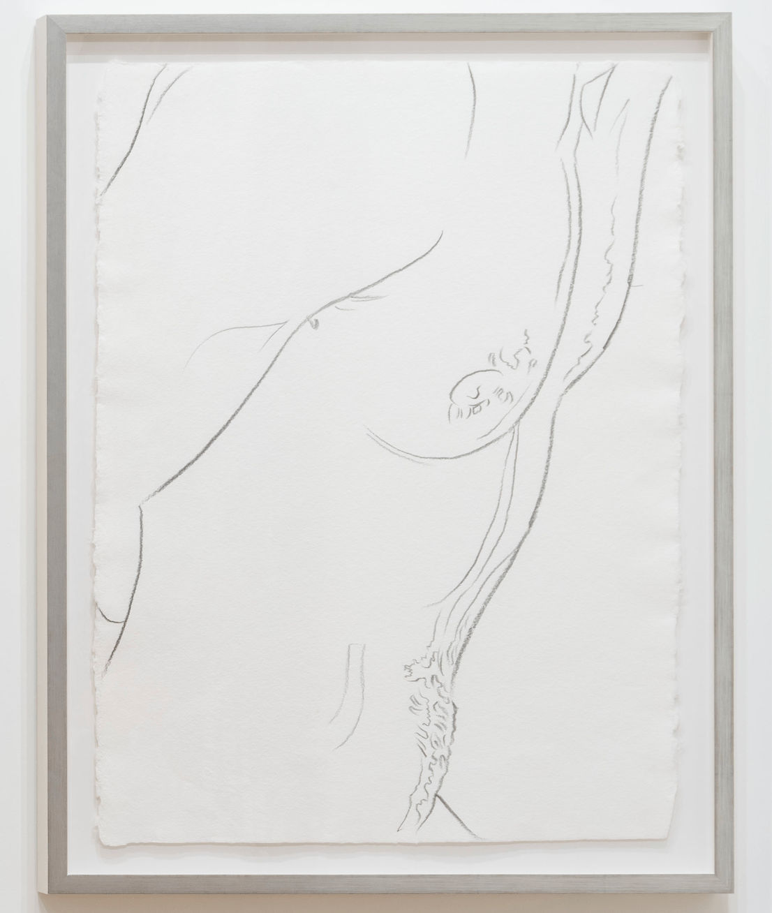 Andy Warhol, Male Nude, 1981-1983