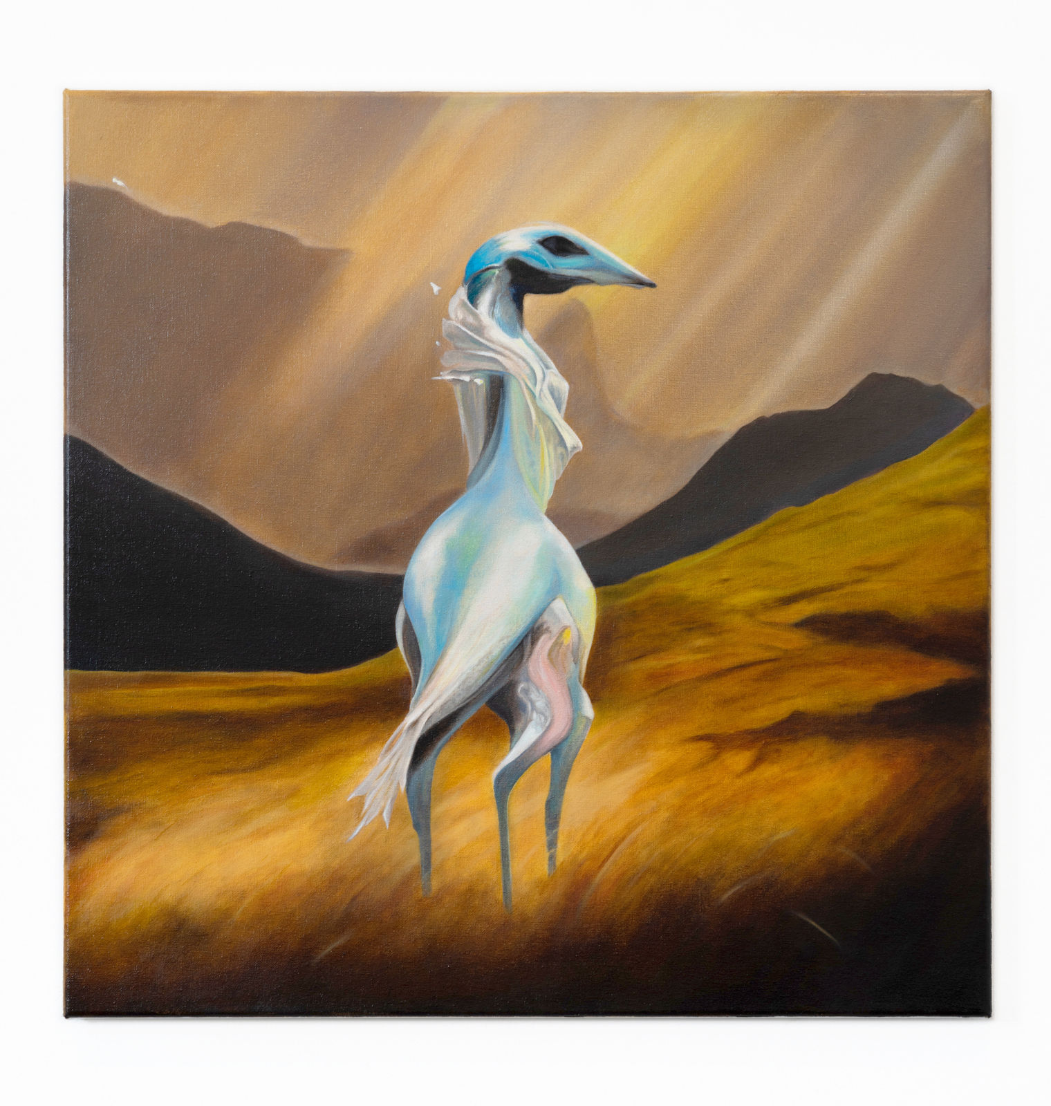 Ebe Oke, I Feed My Skin Upon The Landscape, Awake!, 2022