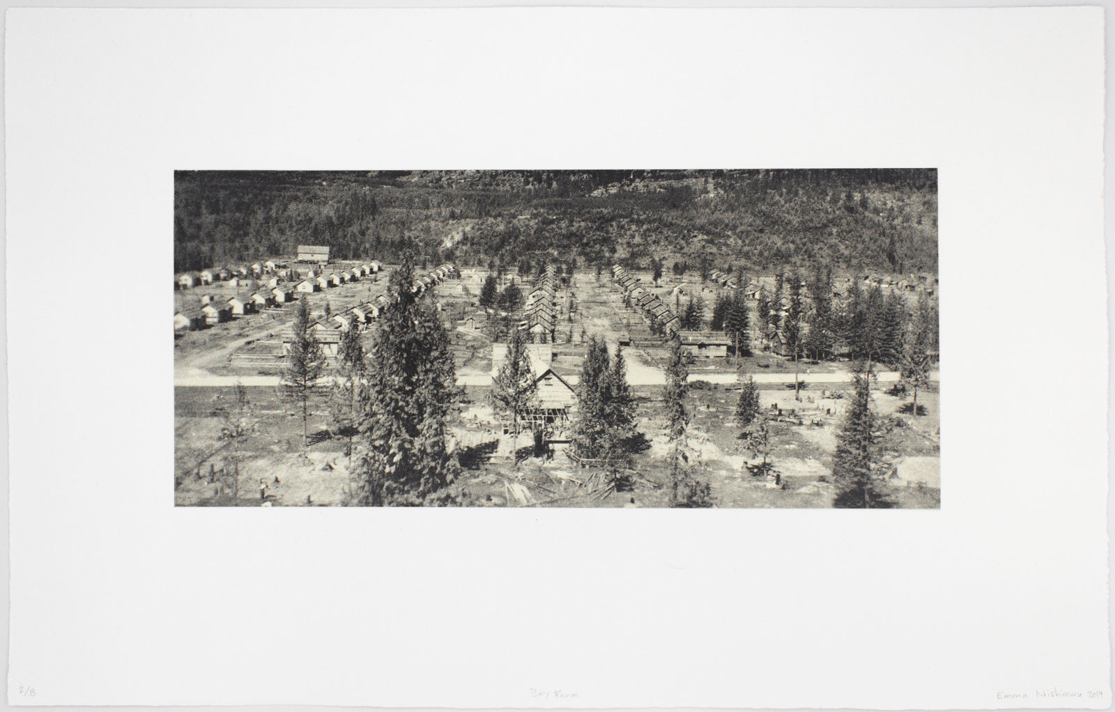 Emma Nishimura, Bay Farm, 2019