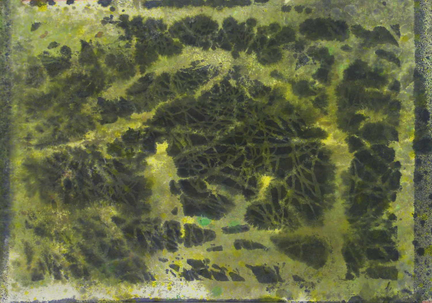 Ed Pien, The Traveller/Sojourn, 2010 - 2016