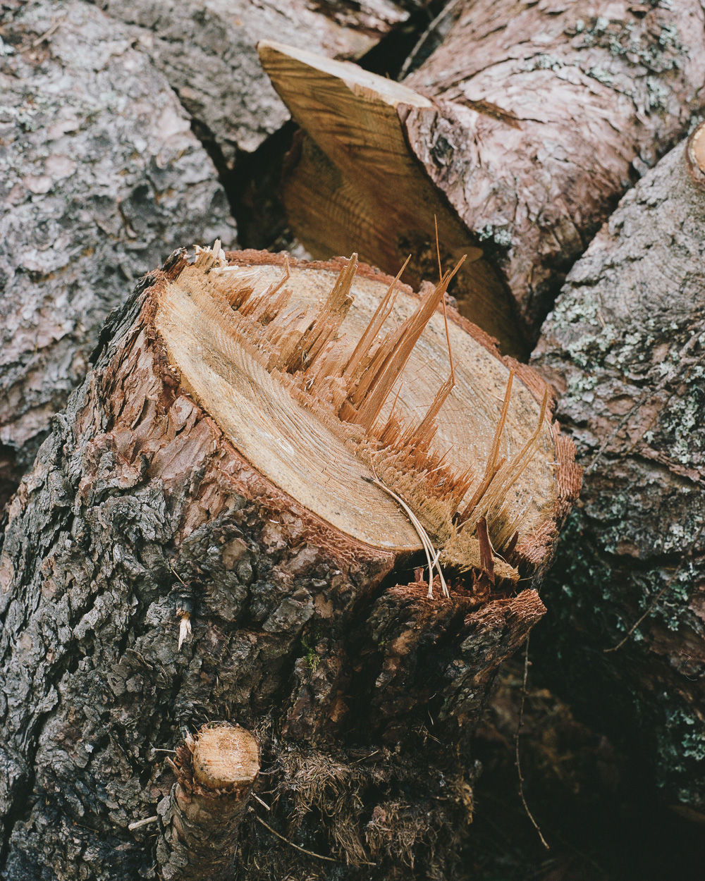 Giaime Meloni, Das Un Heimliche #1, 2017