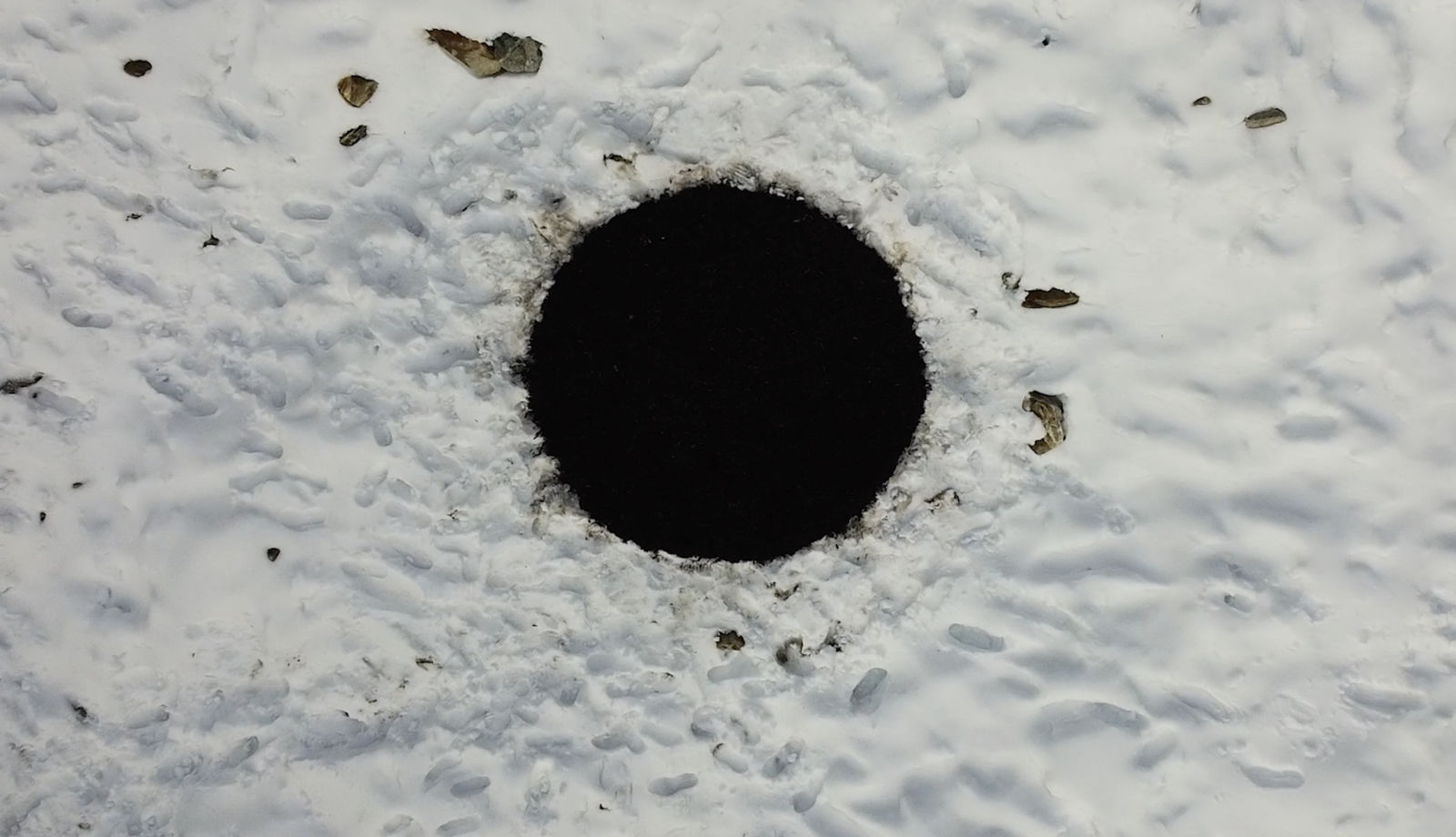 Xu Shuai, '4C+37, 2021