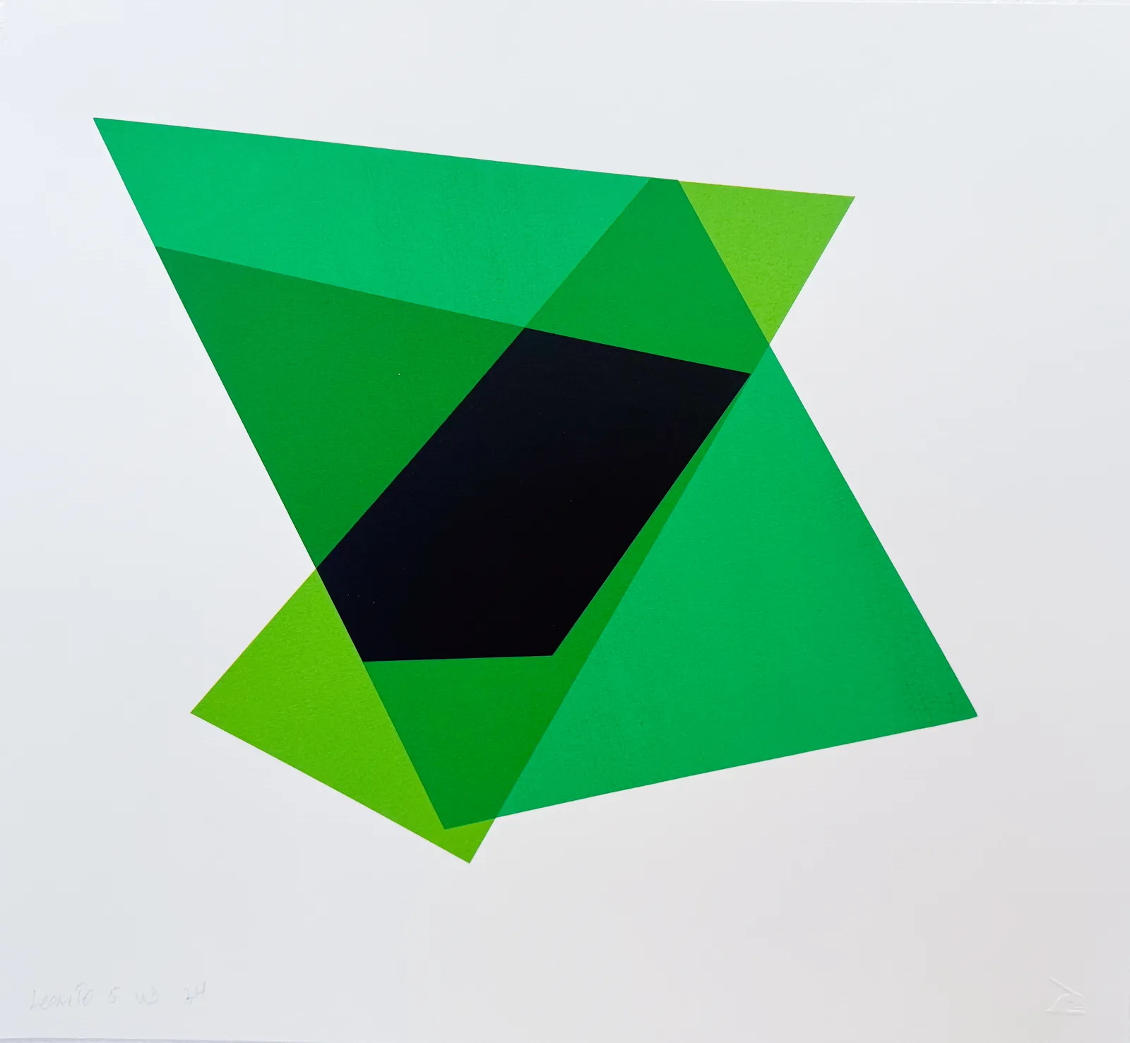 Willard Boepple, Lean to # 5, 2024