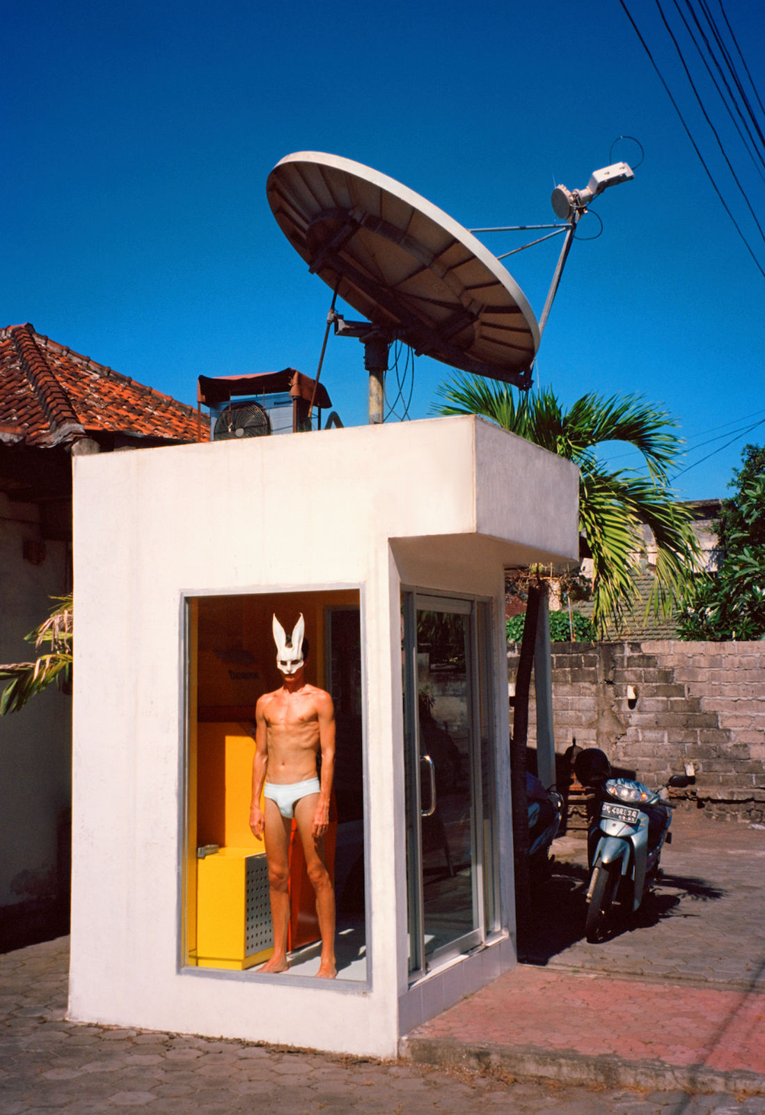 Vlad Zorin, Hare #6 , 2019